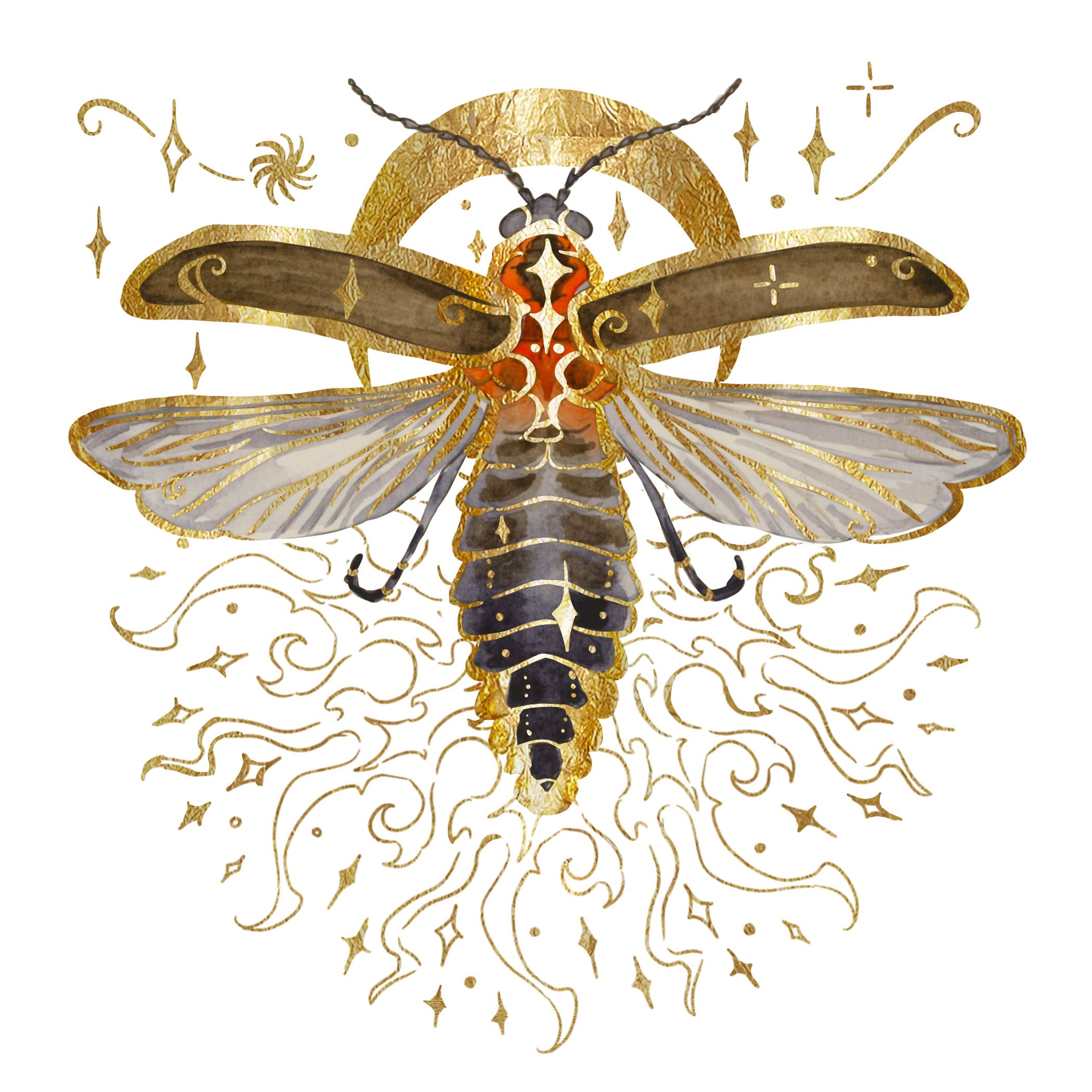 firefly-web.jpg
