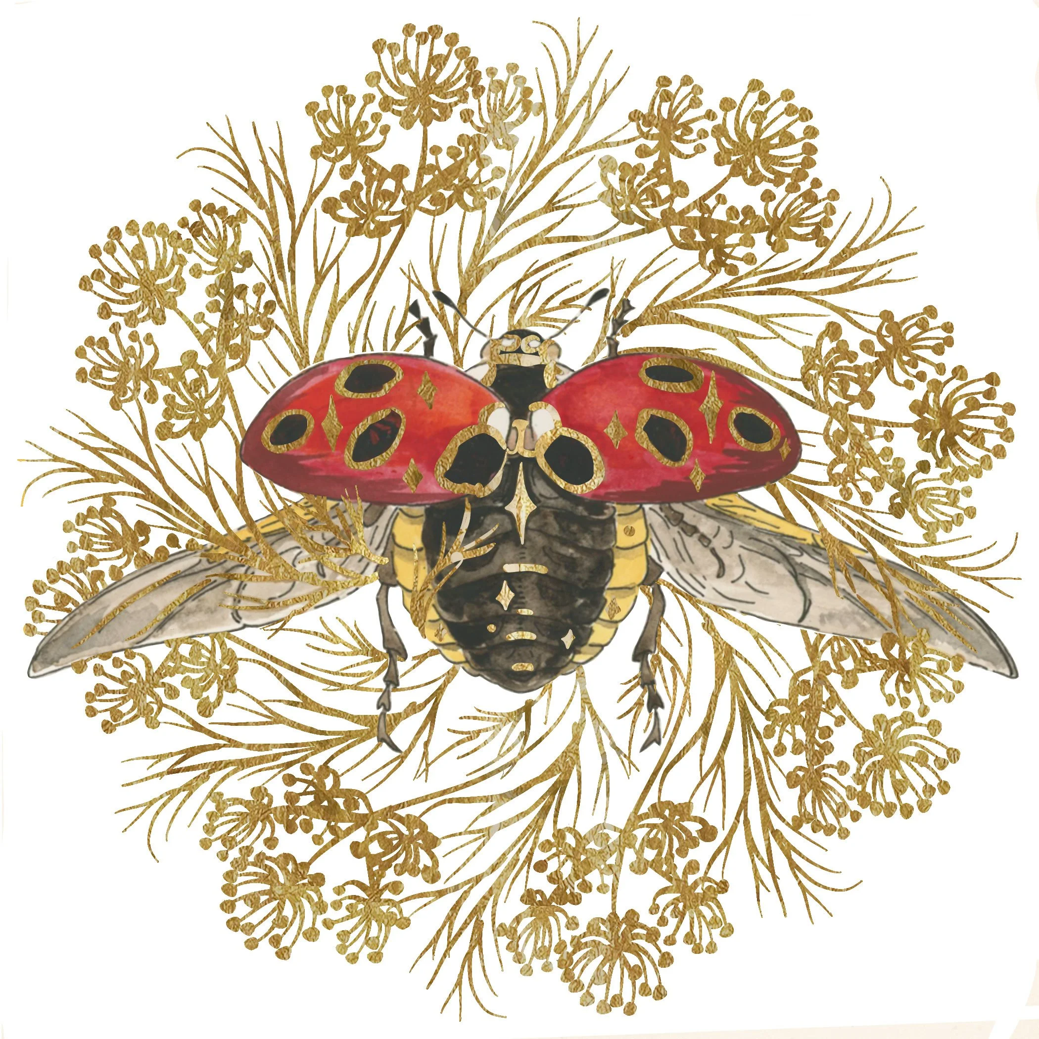 Gilded Order: Lady Bug - prints