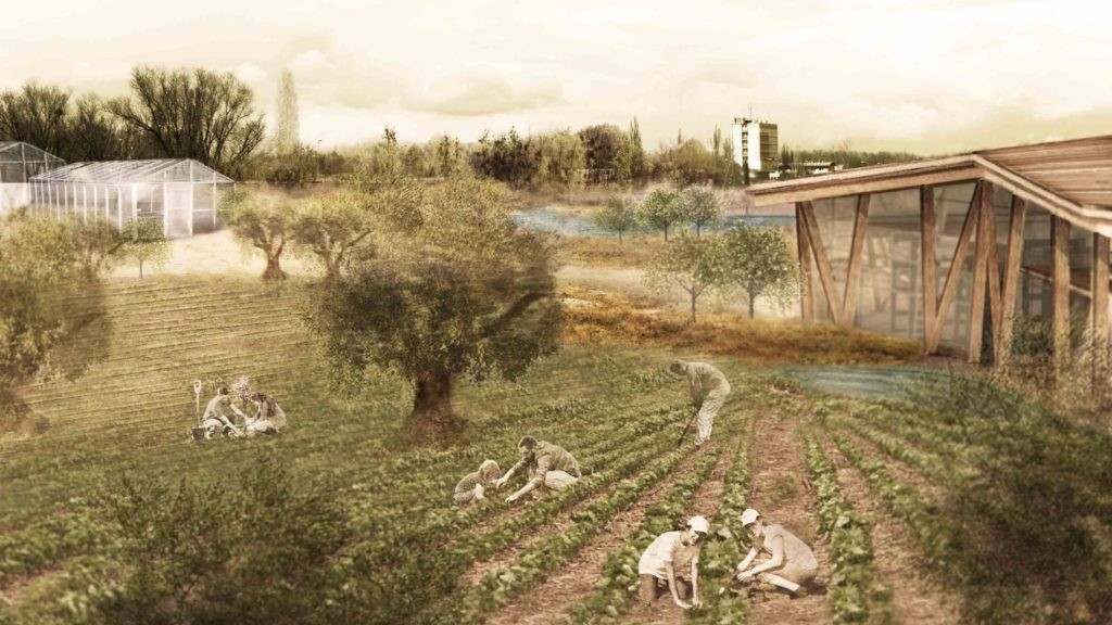 URBAN AGRICULTURAL PARK IN VOTANIKOS