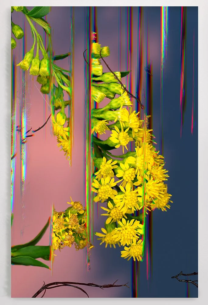 Heather Renée Russ "Blossoms in the Fray"
