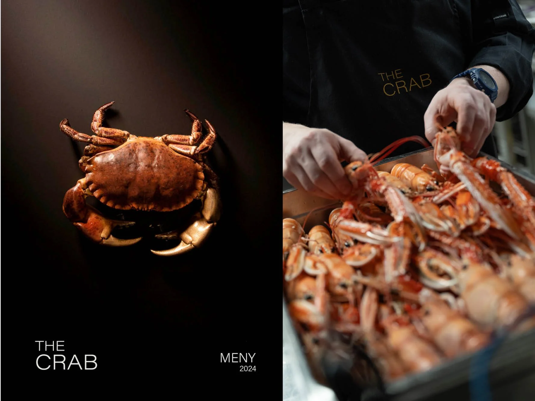THE CRAB