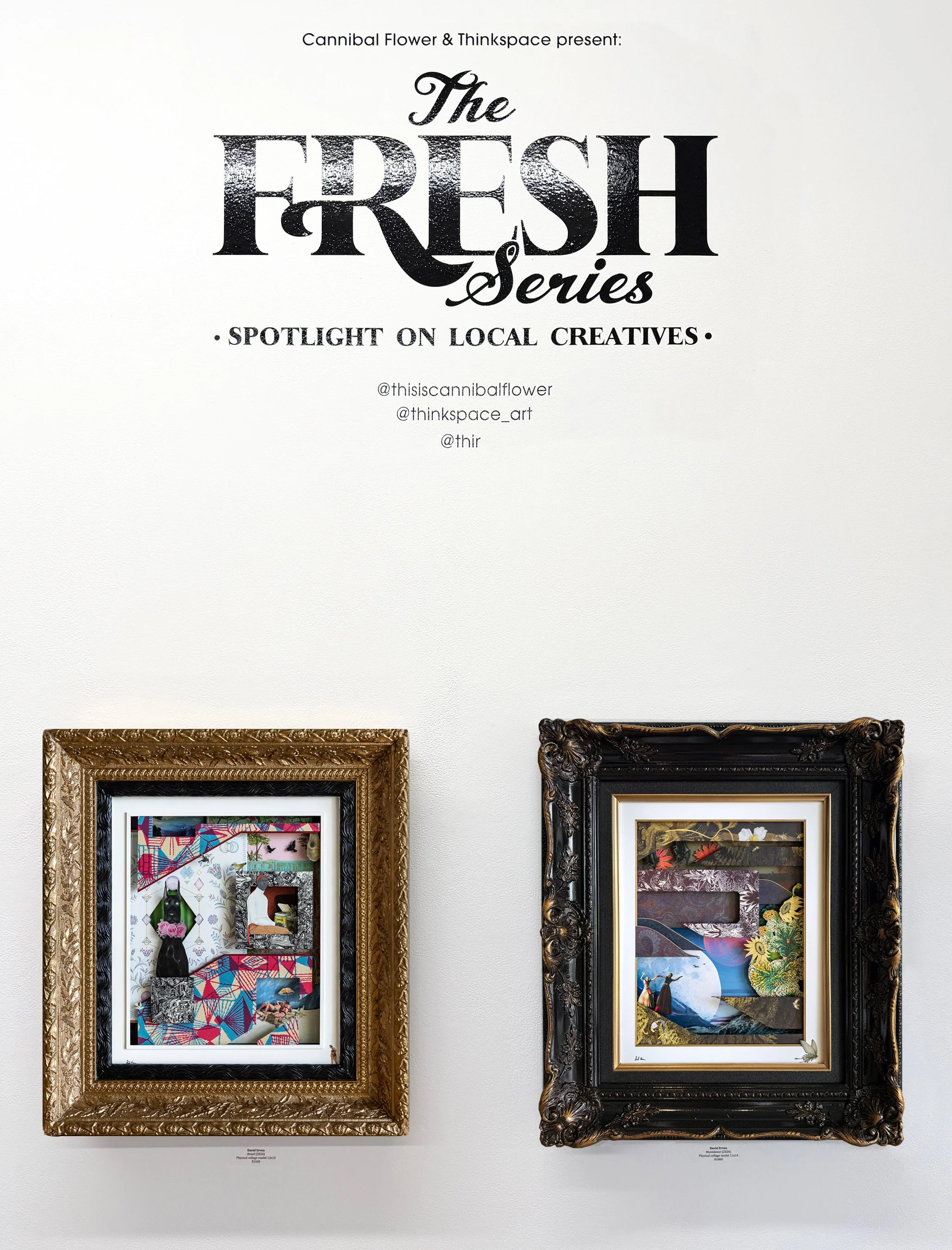 FRESH SERIES.jpg