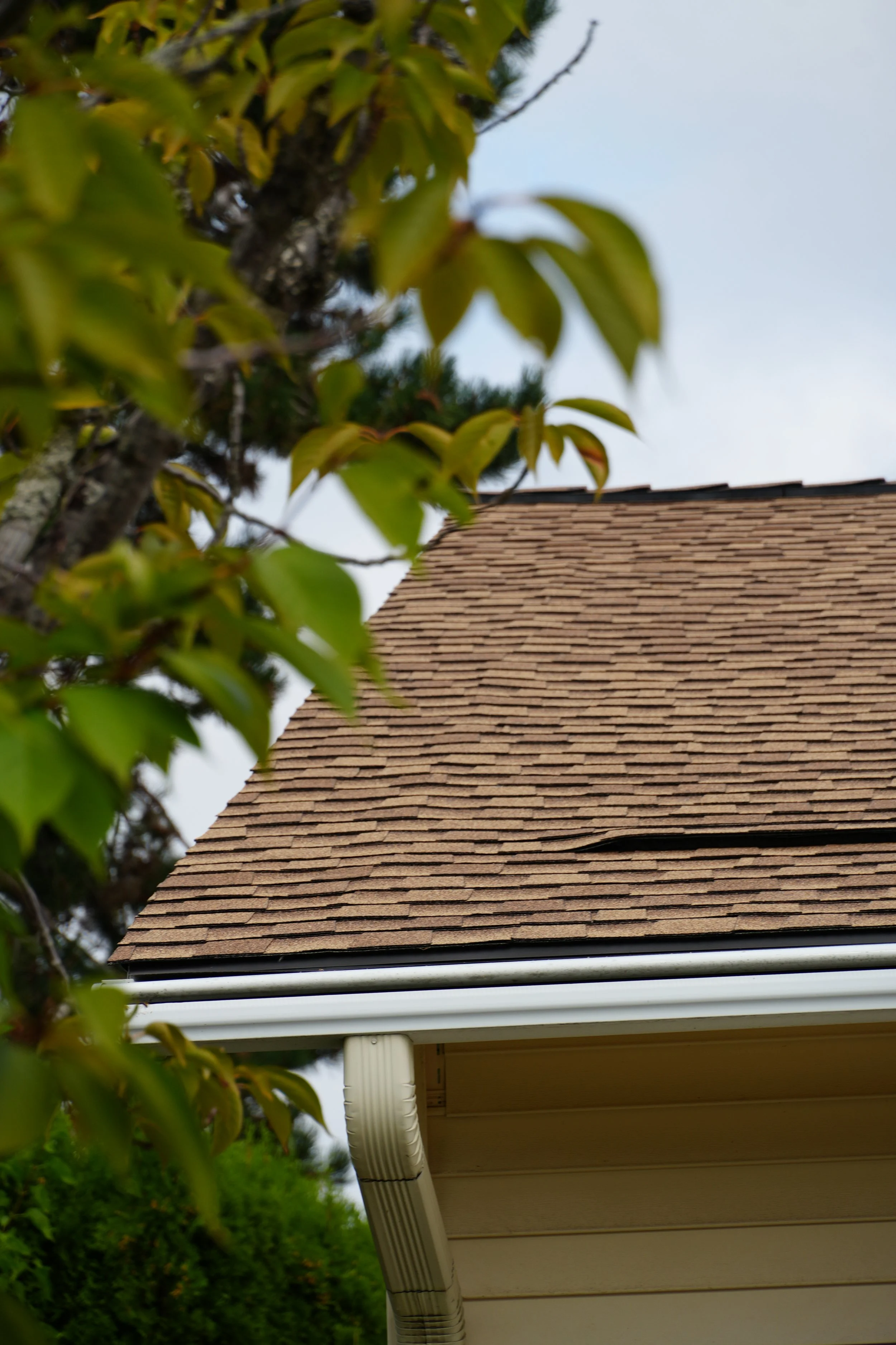 victoria-mildenberger-roofing-vancouver-washington (59).JPG