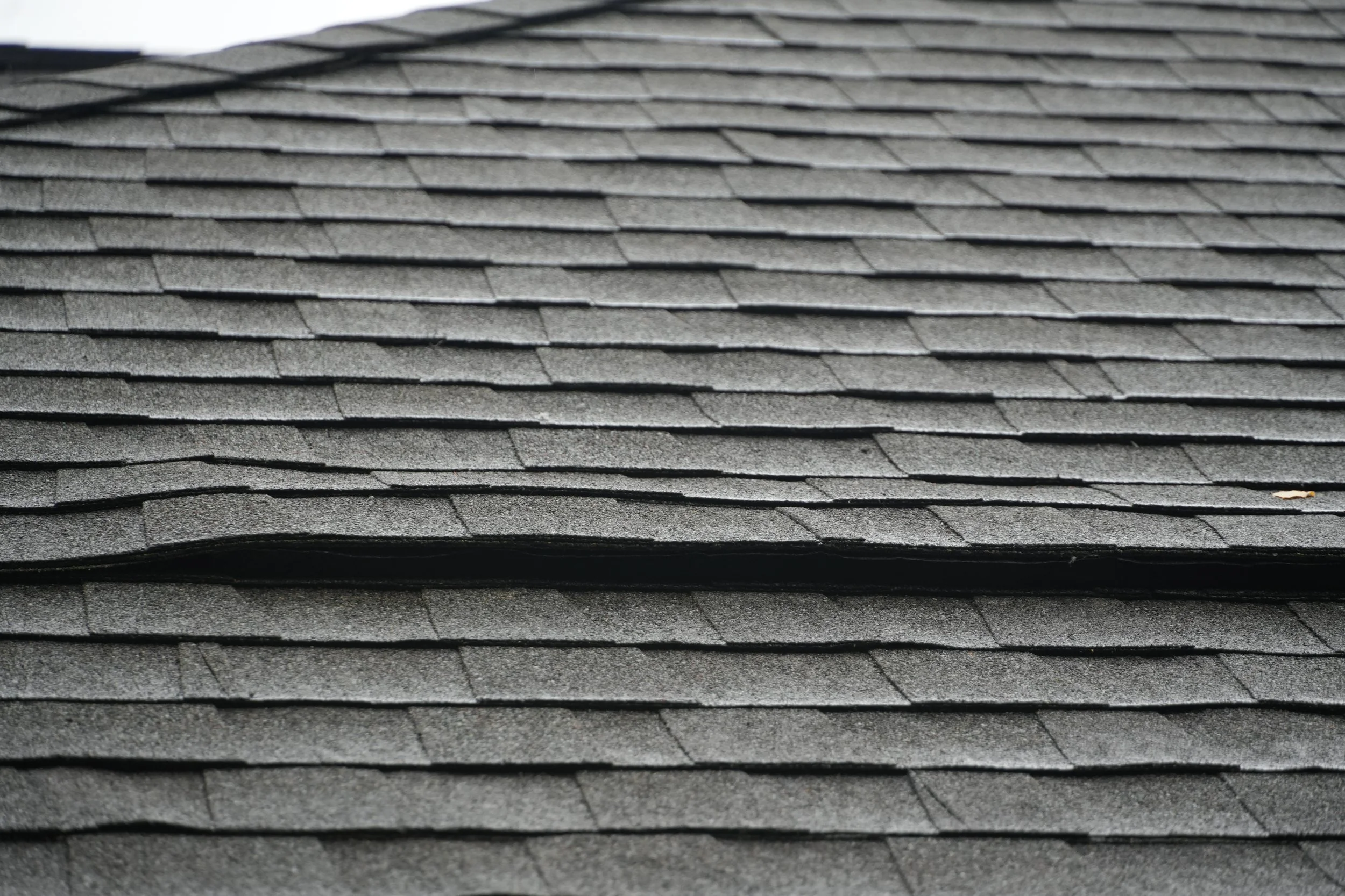 mike-street-roofing-portland-oregon (55).JPG