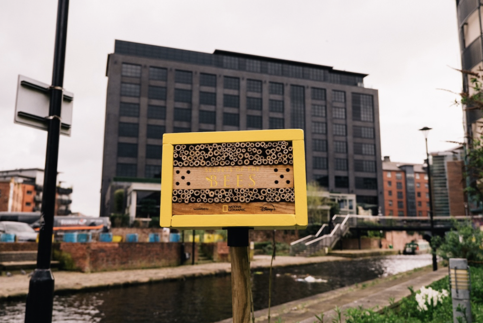 National Geographic Activation Experiential