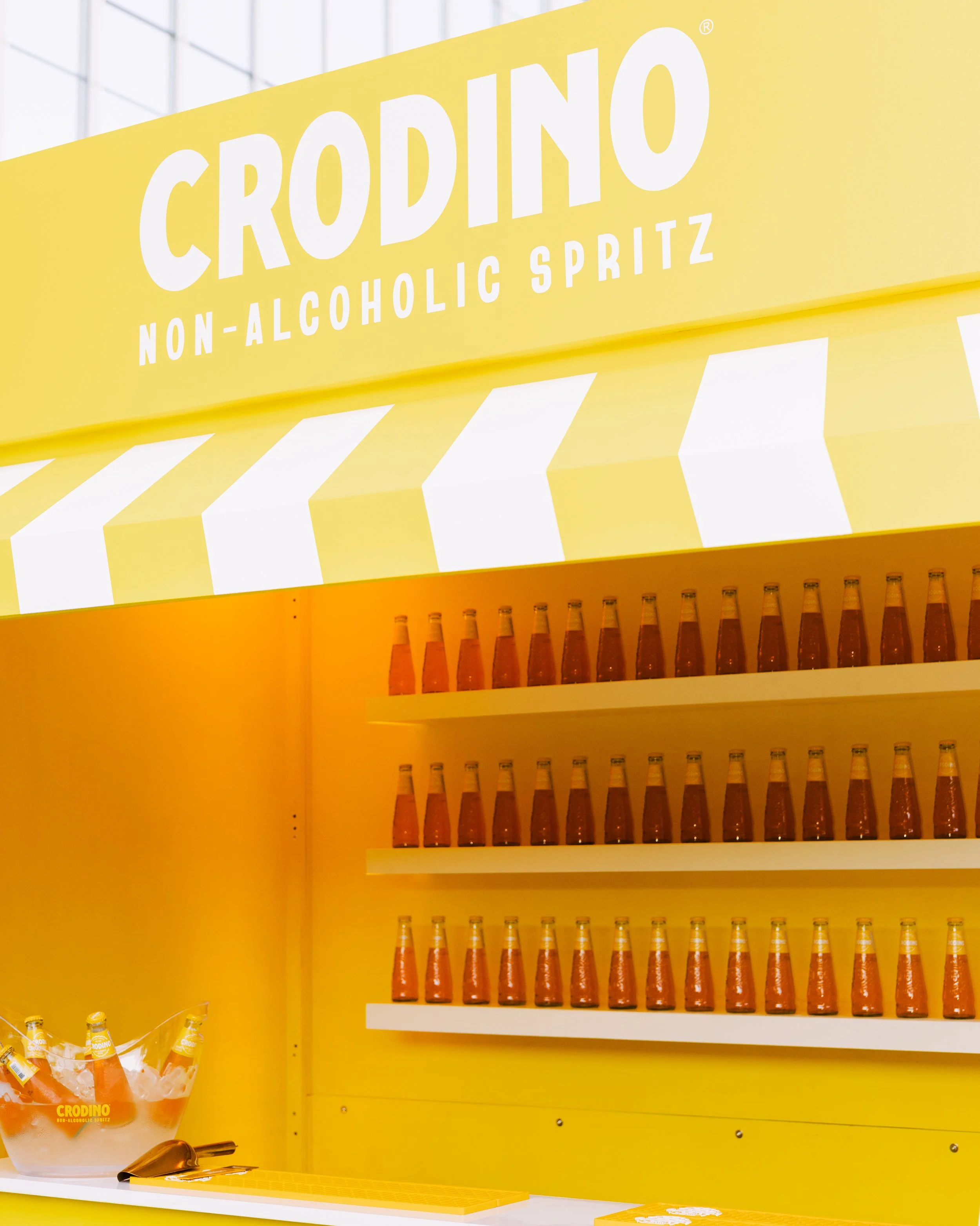 Crodinodantes 19.jpg