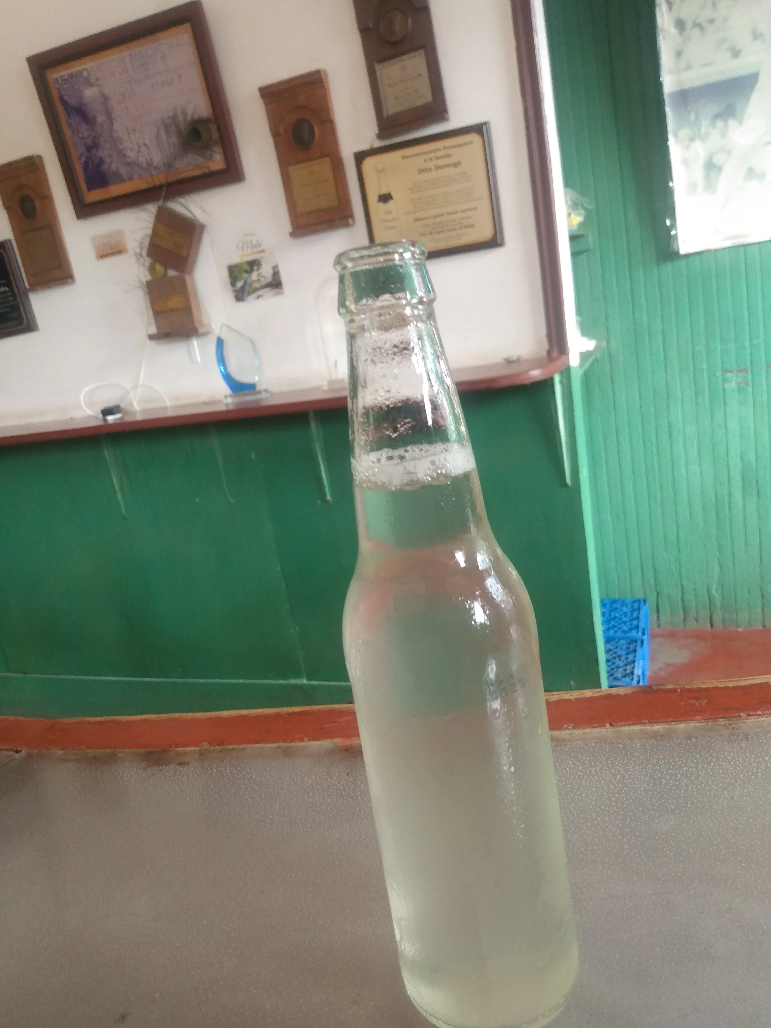 Field Trip The Country Side(El Seibo and Neighbors) 