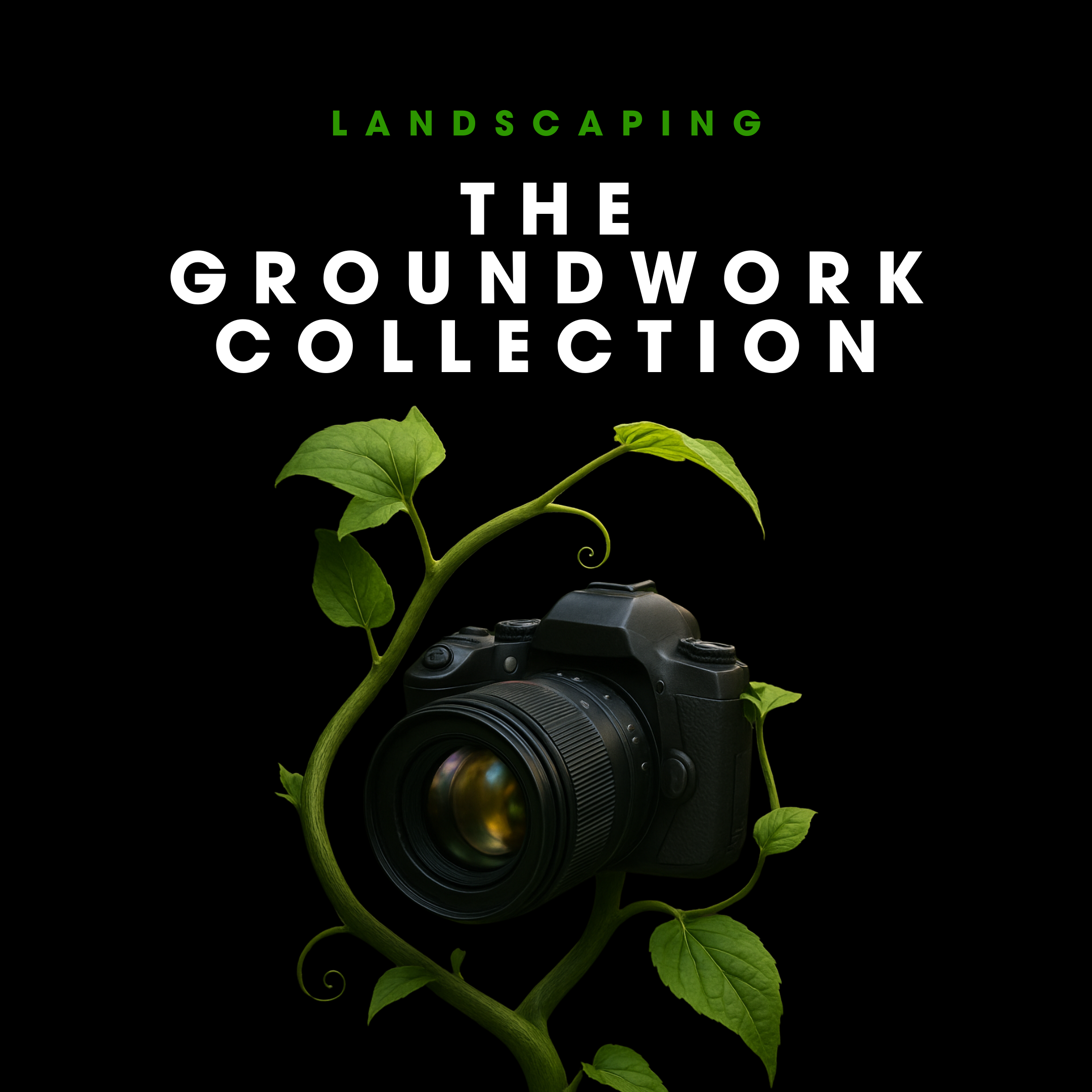 THE GROUNDWORK COLLECTION