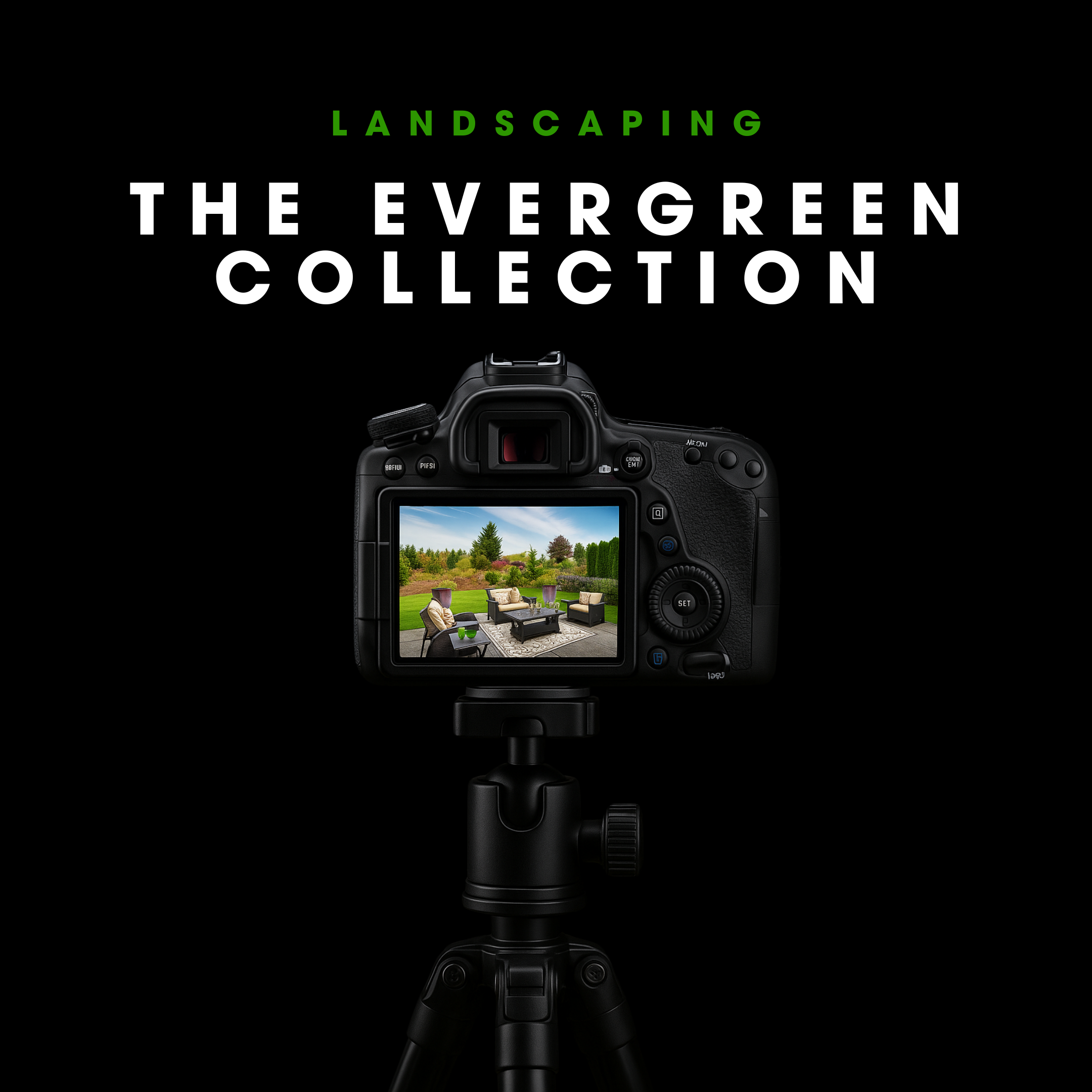 THE EVERGREEN COLLECTION