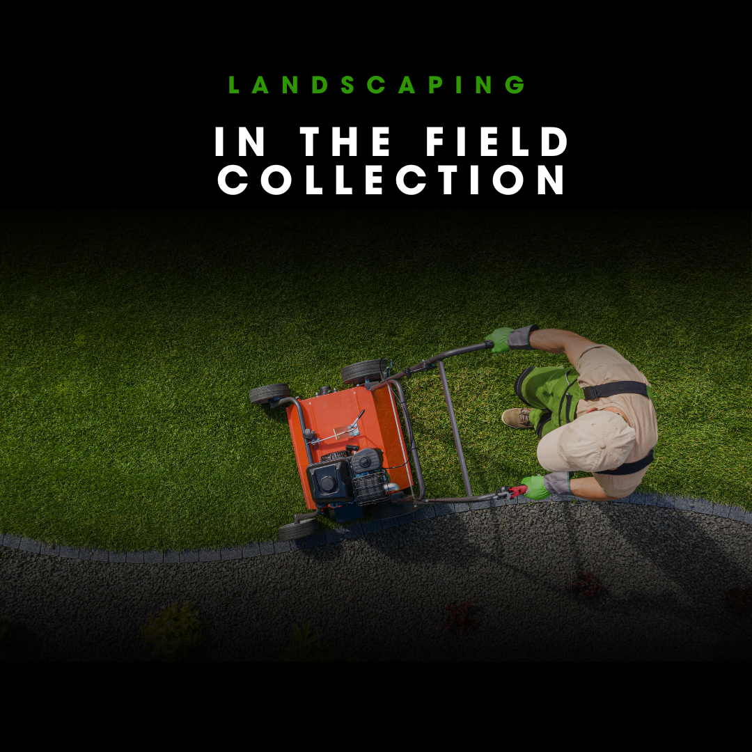 IN THE FIELD COLLECTION