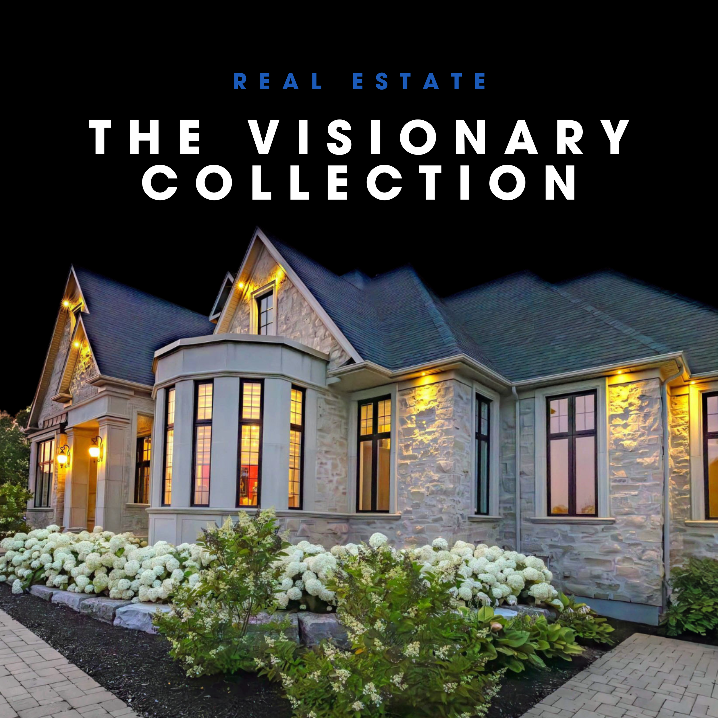 THE VISIONARY COLLECTION