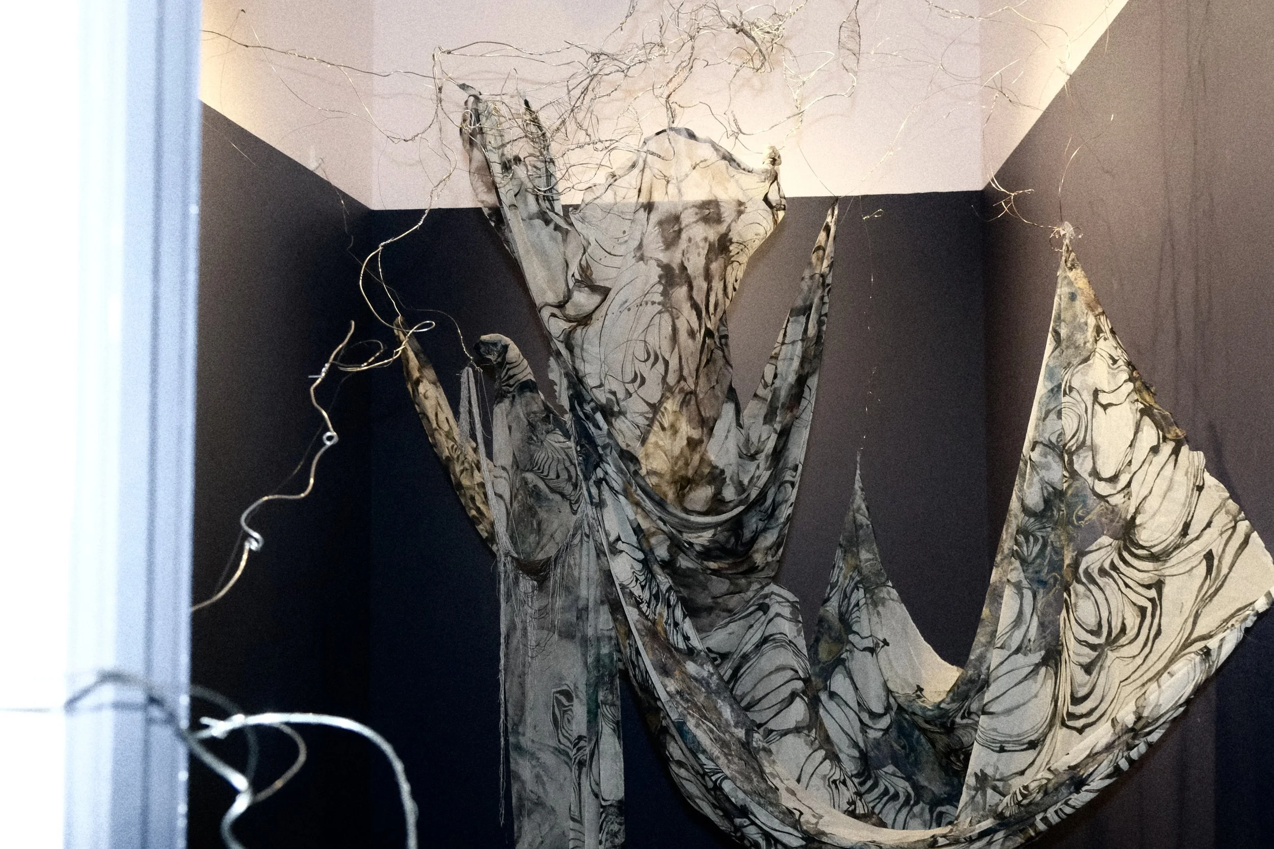 DSCF5873.jpg