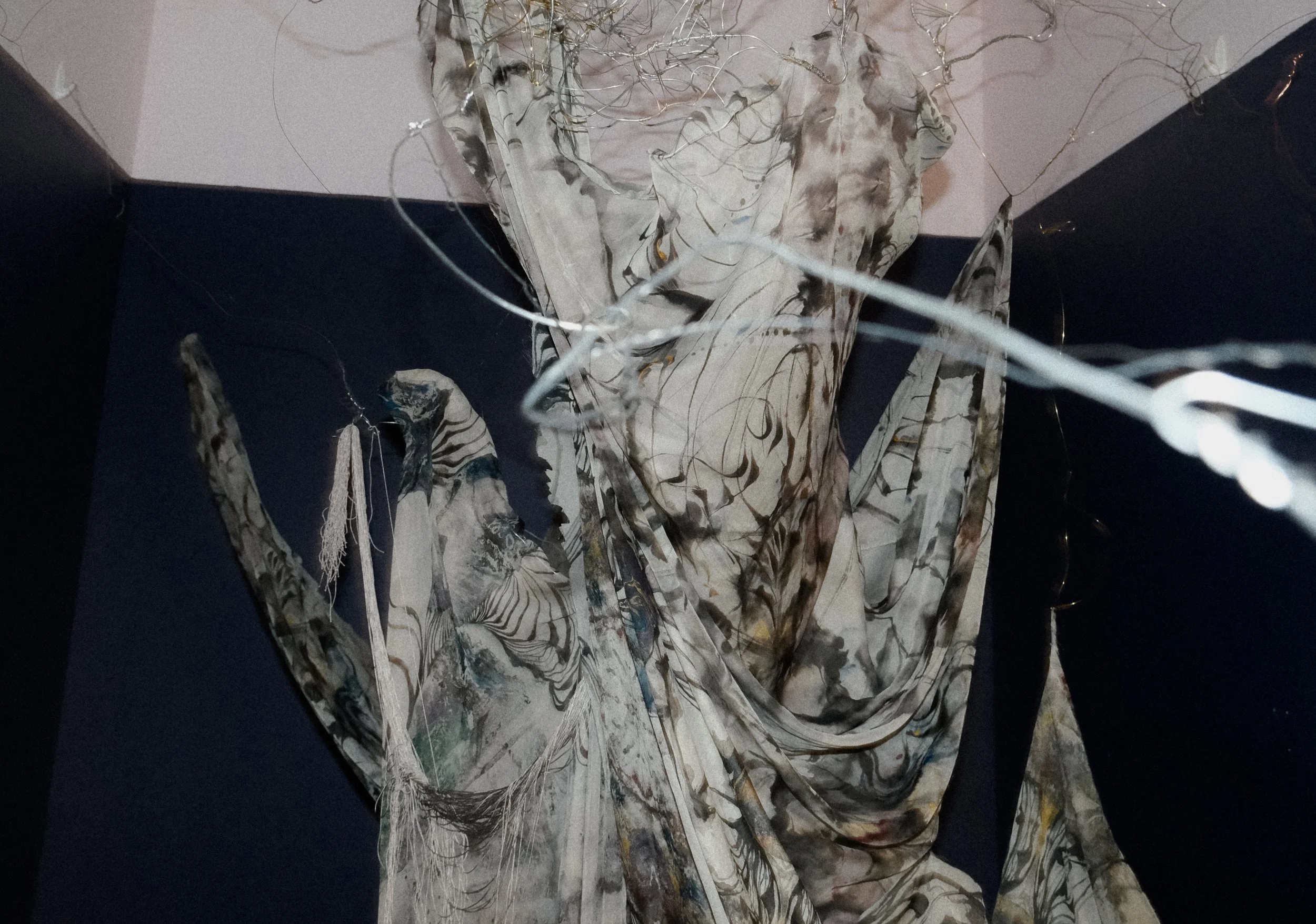 DSCF5729.jpg