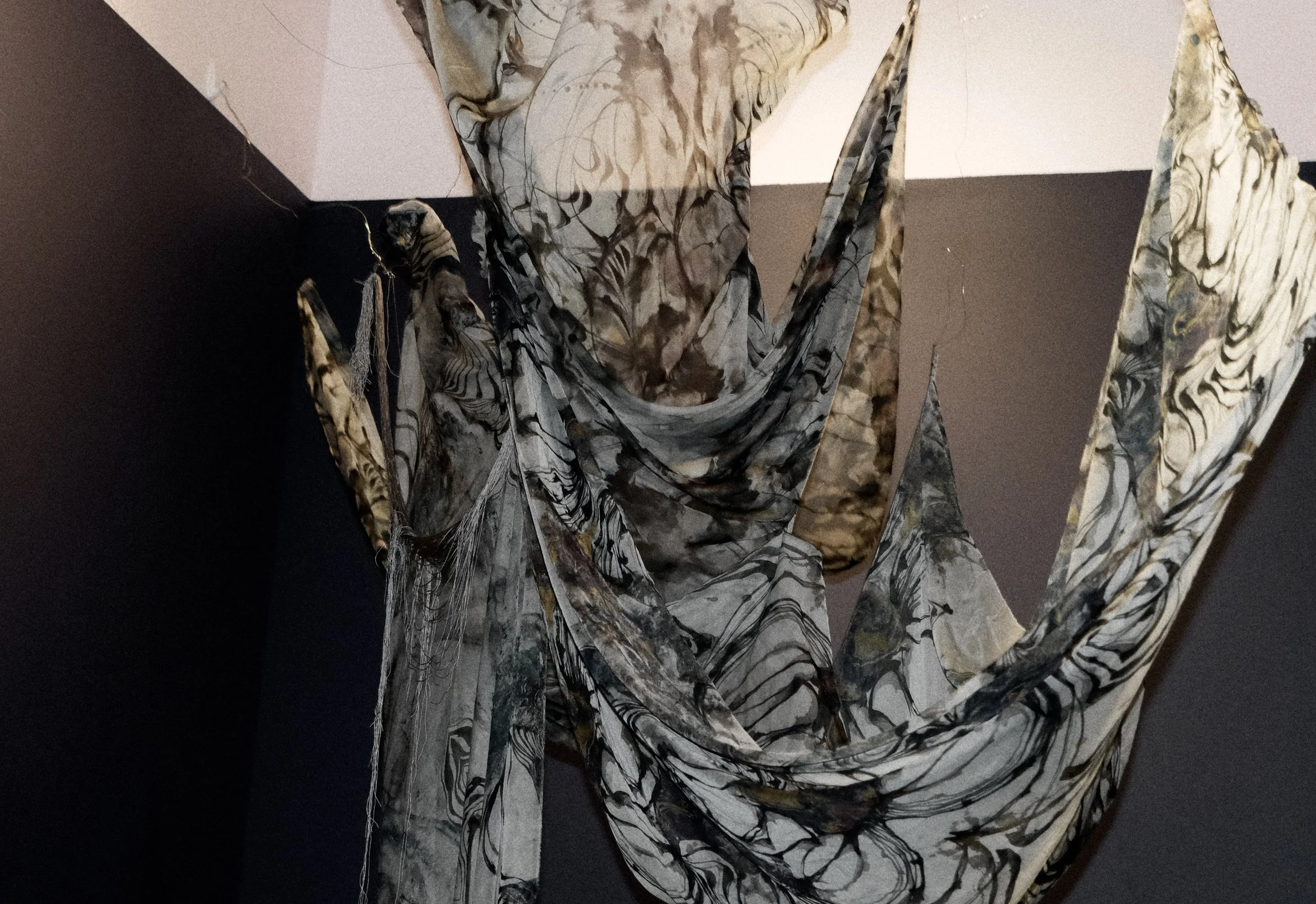 DSCF5863 2.jpg