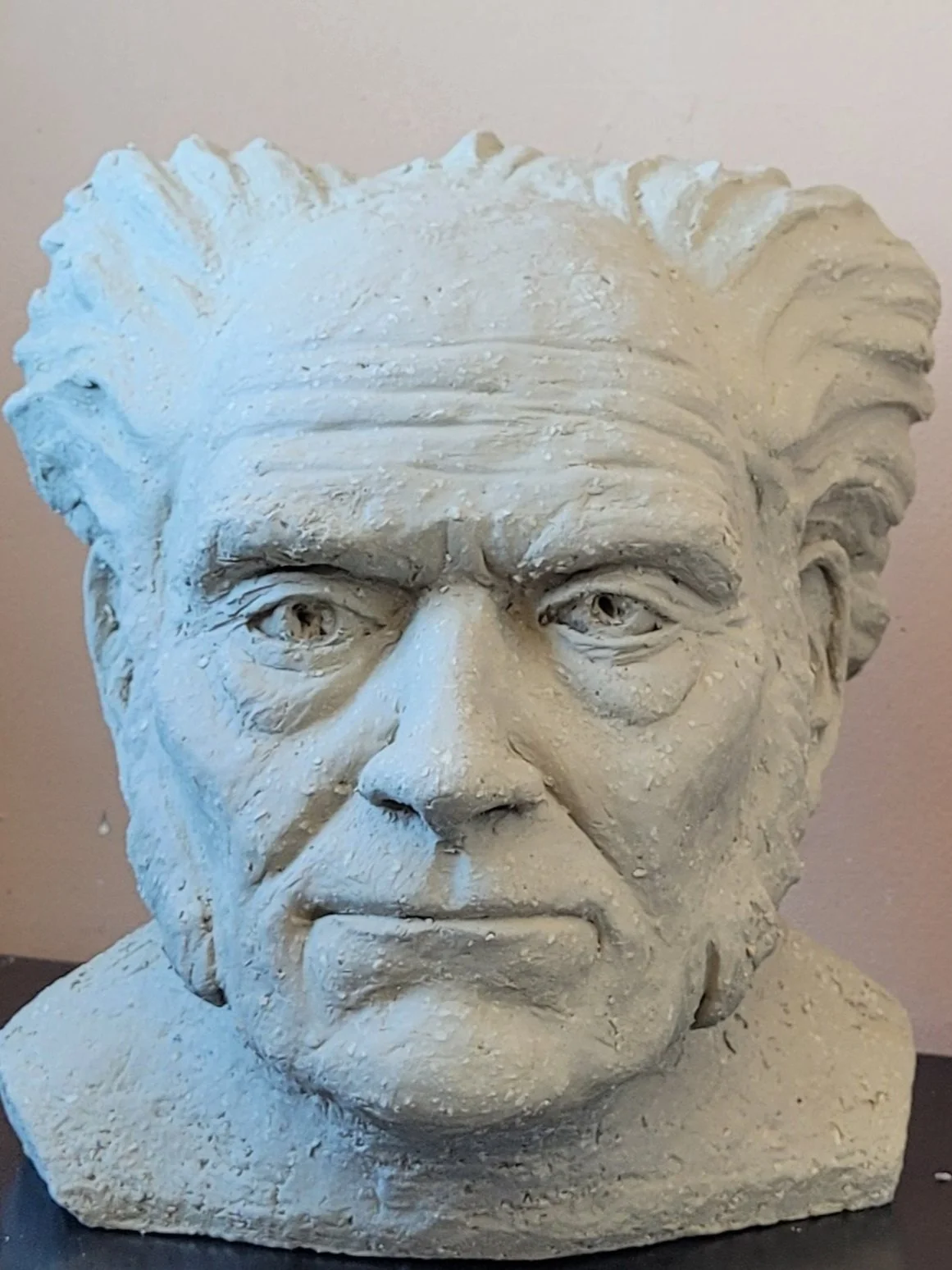 Arthur Schopenhauer, Schrübrand