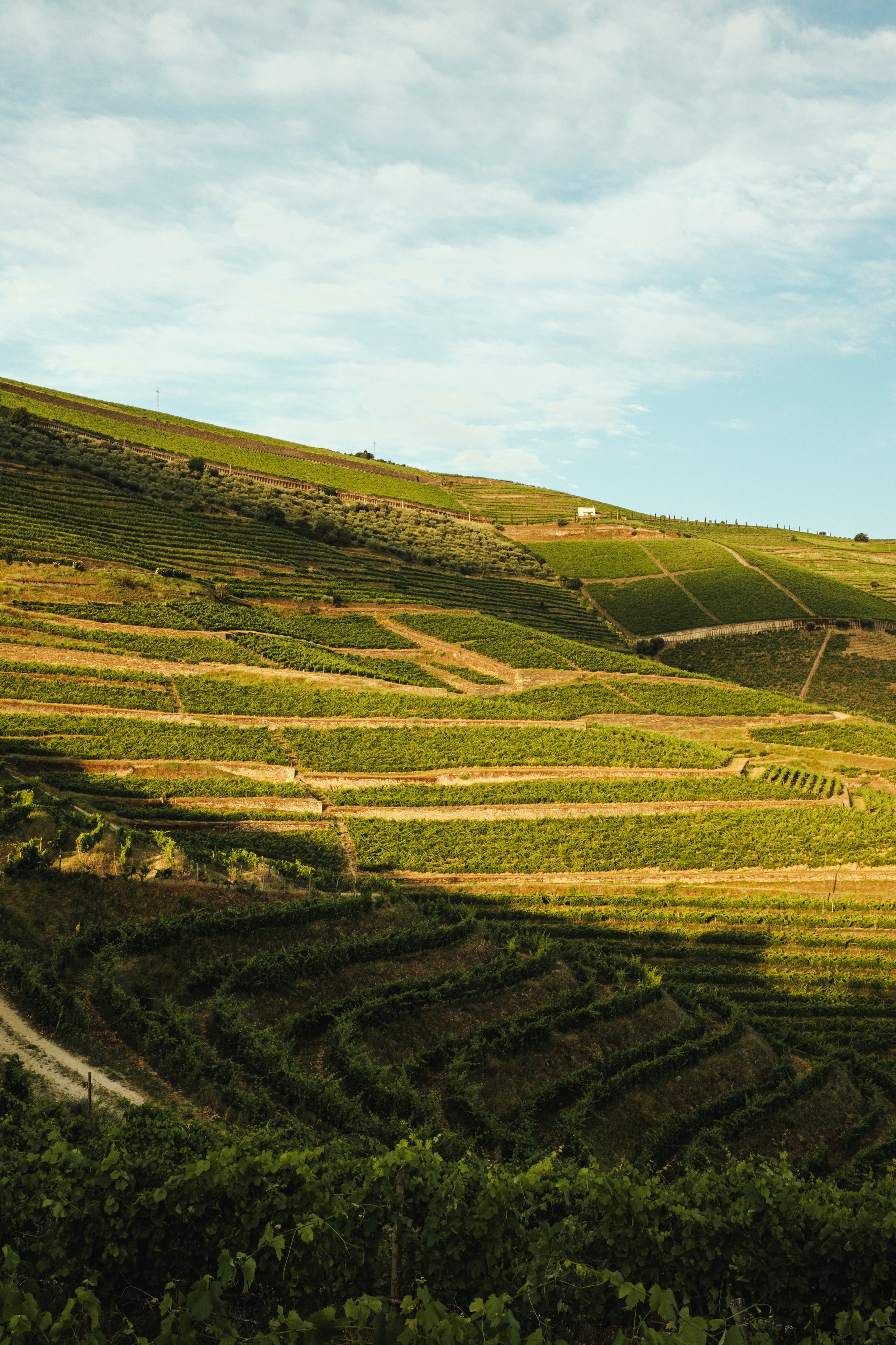 20250604_DouroPortugal_FujifilmX100V_69.jpg