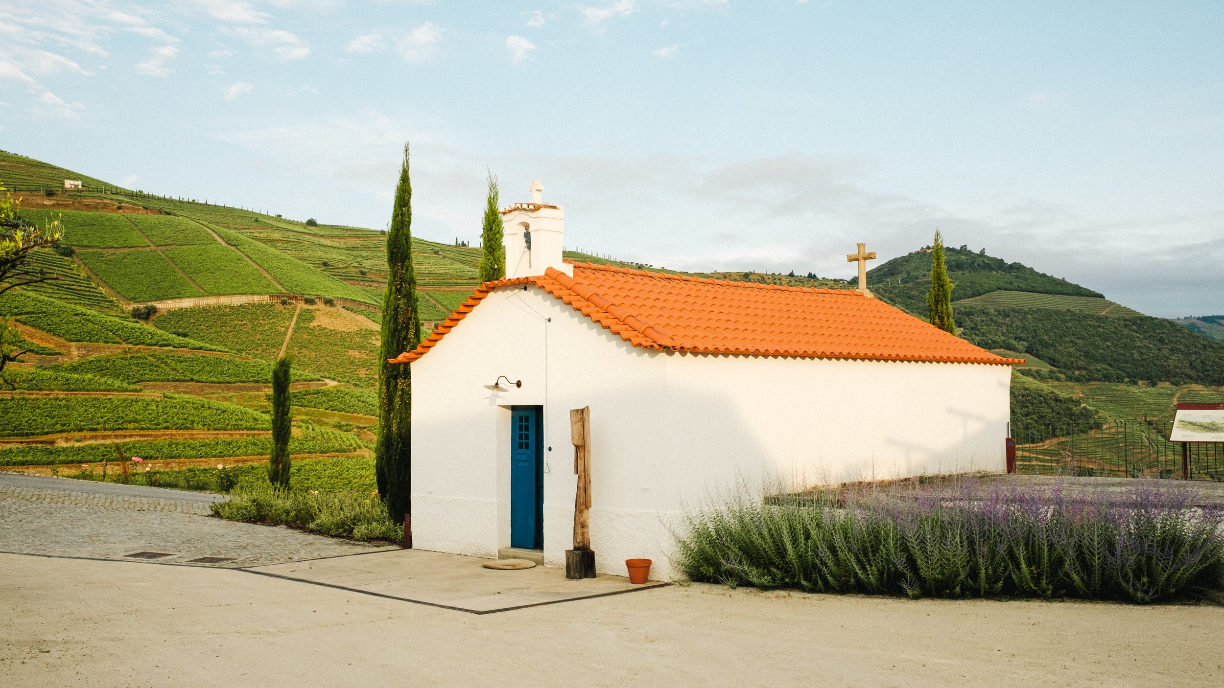 20250604_DouroPortugal_FujifilmX100V_73.jpg