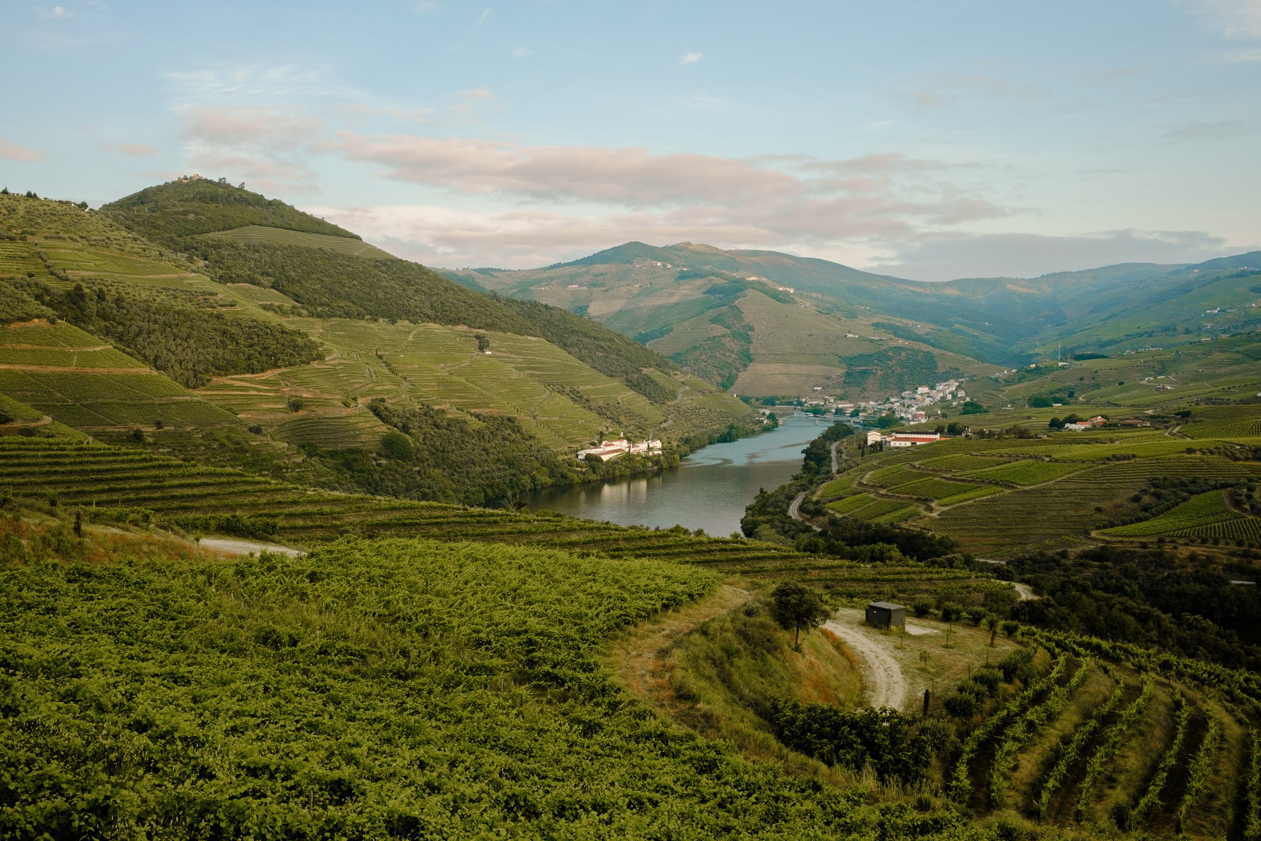 20250604_DouroPortugal_FujifilmX100V_66.jpg