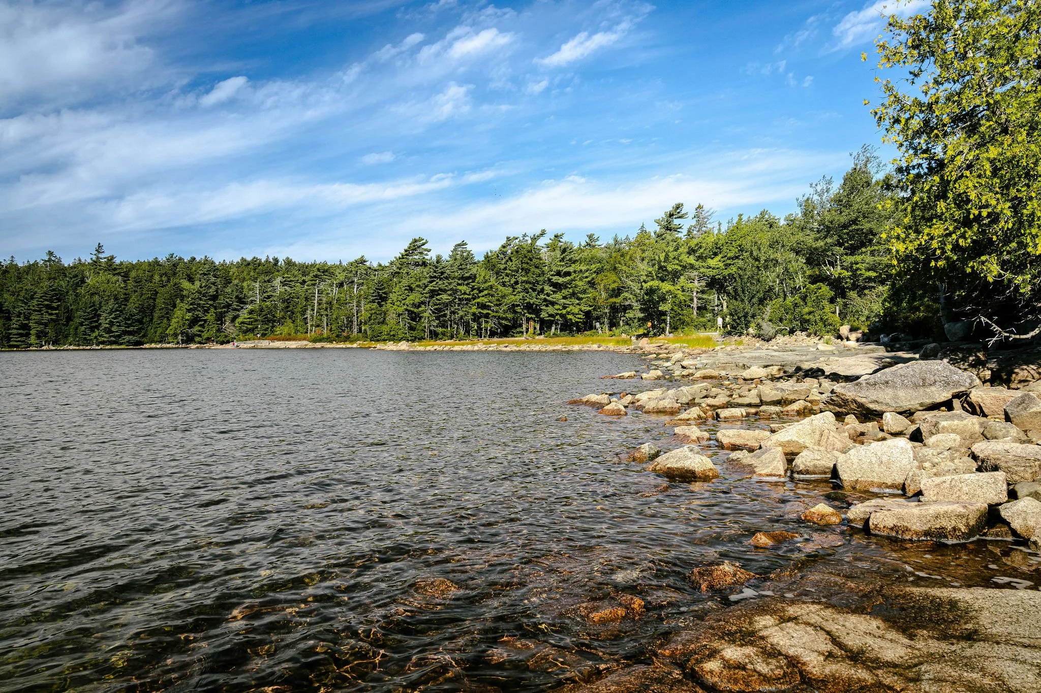 A lake with a rocky shoreline, surrounded by a dense forest of evergreen trees under a partly cloudy sky.