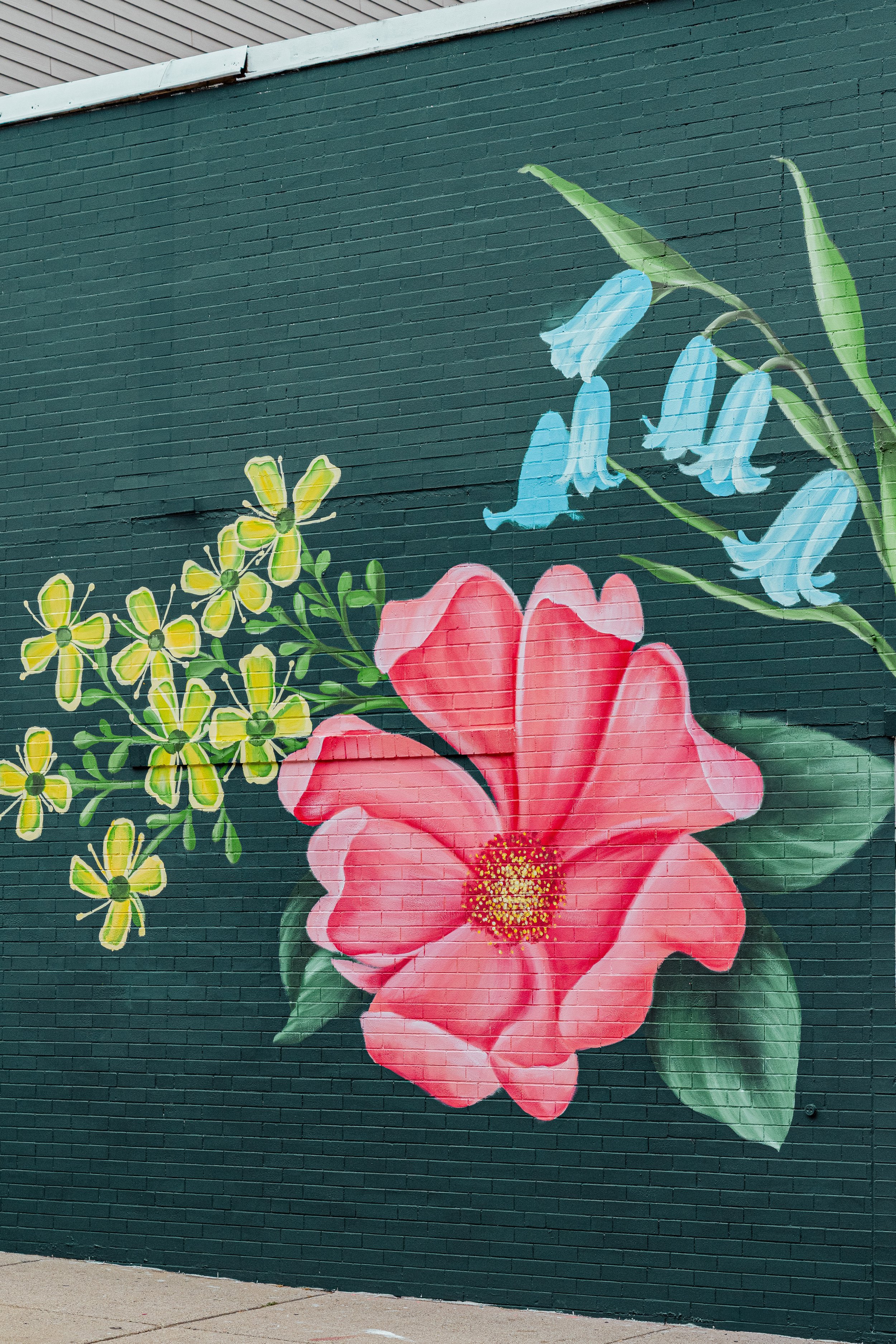 20250701_Livtopaint_Sonya1_212.jpg