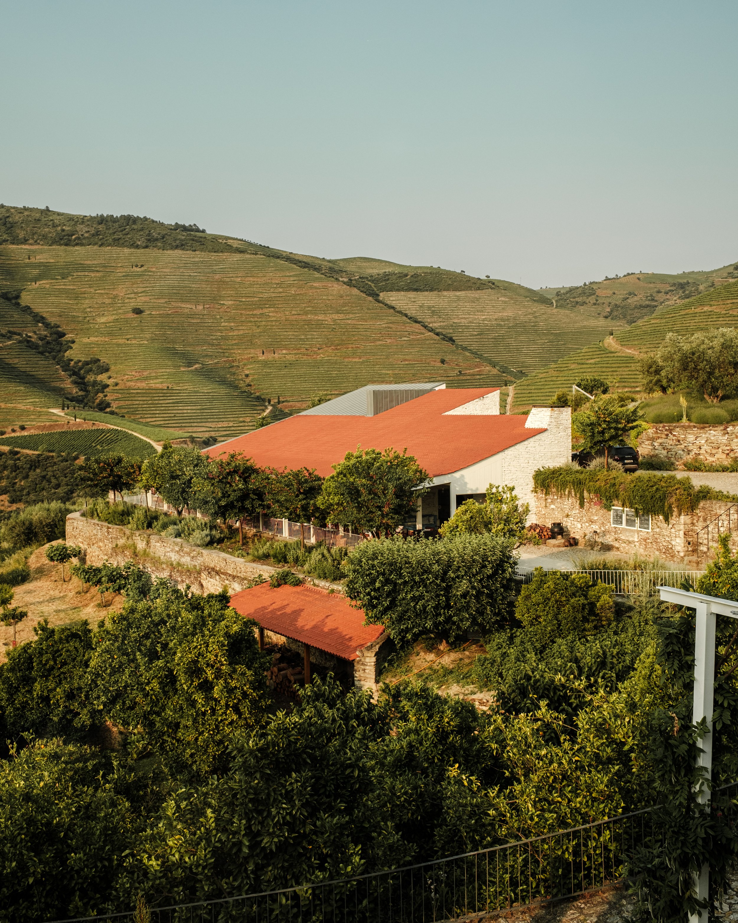20250603_DouroPortugal_FujifilmX100V_107.jpg