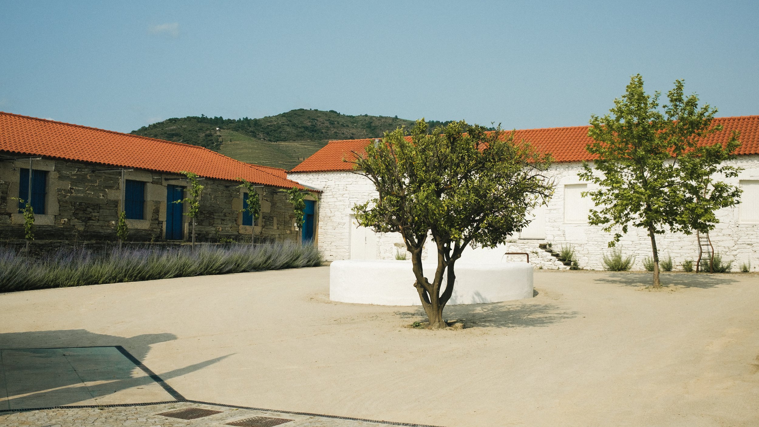 20250603_DouroPortugal_FujifilmX100V_22.jpg