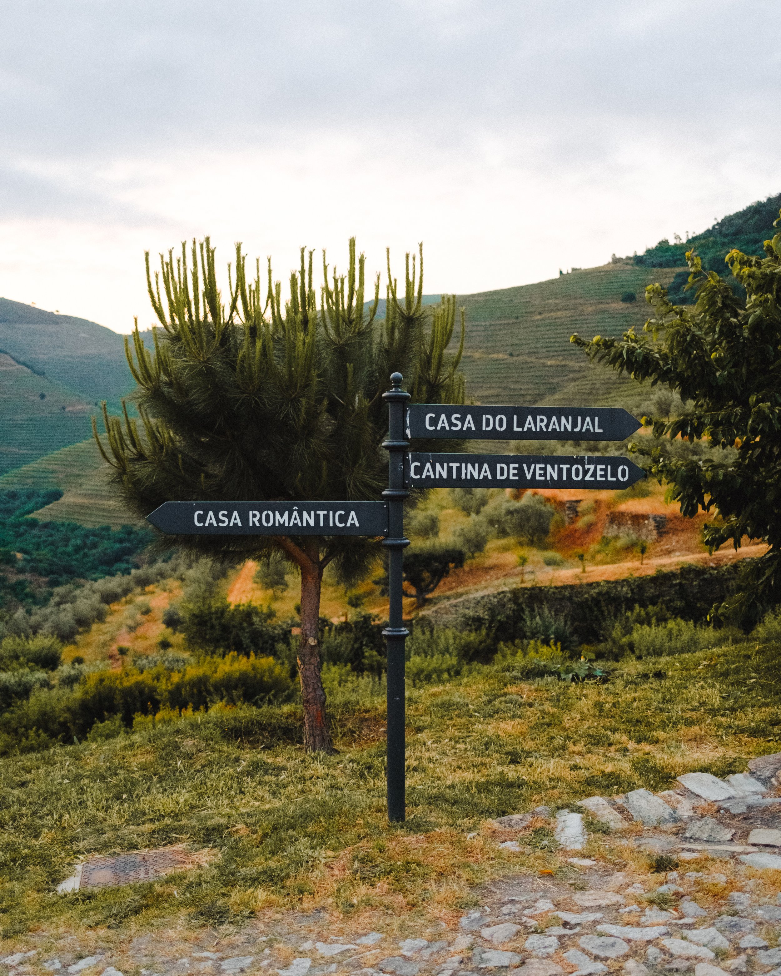 20250604_DouroPortugal_FujifilmX100V_5.jpg