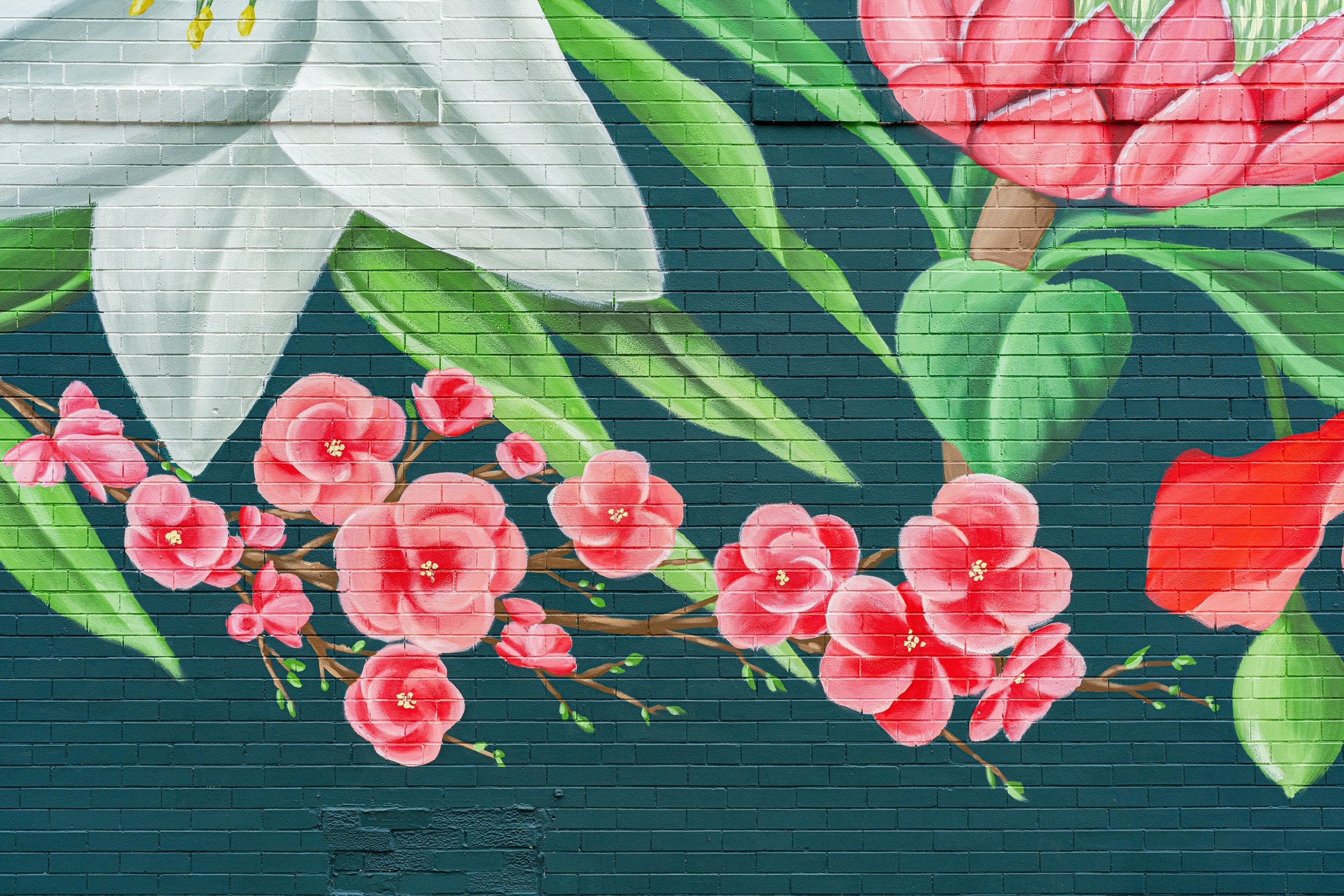 20250701_Livtopaint_Sonya1_72.jpg