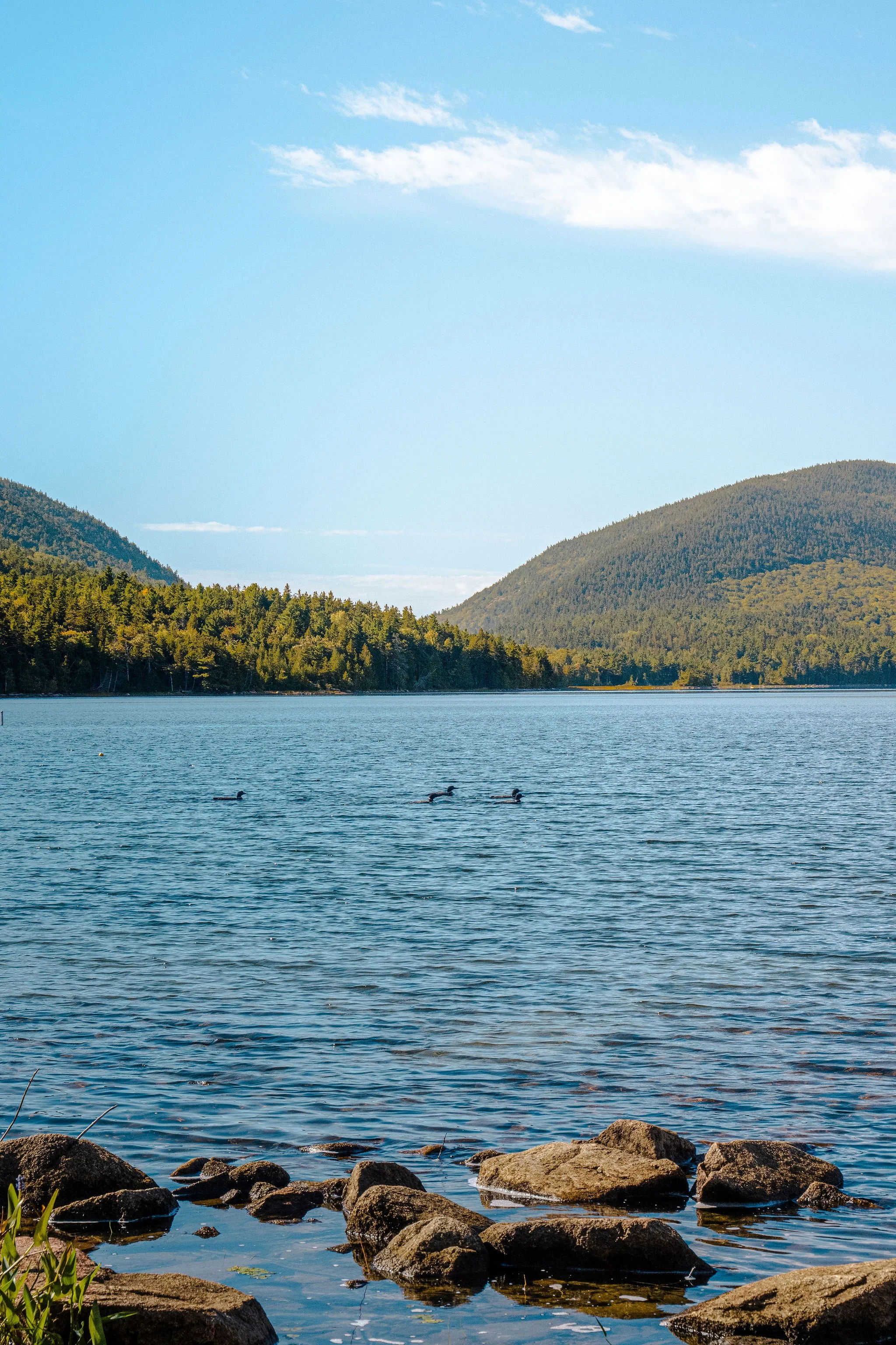 A serene lake with rocks in the foreground, surrounded by tree-covered hills and a clear blue sky.