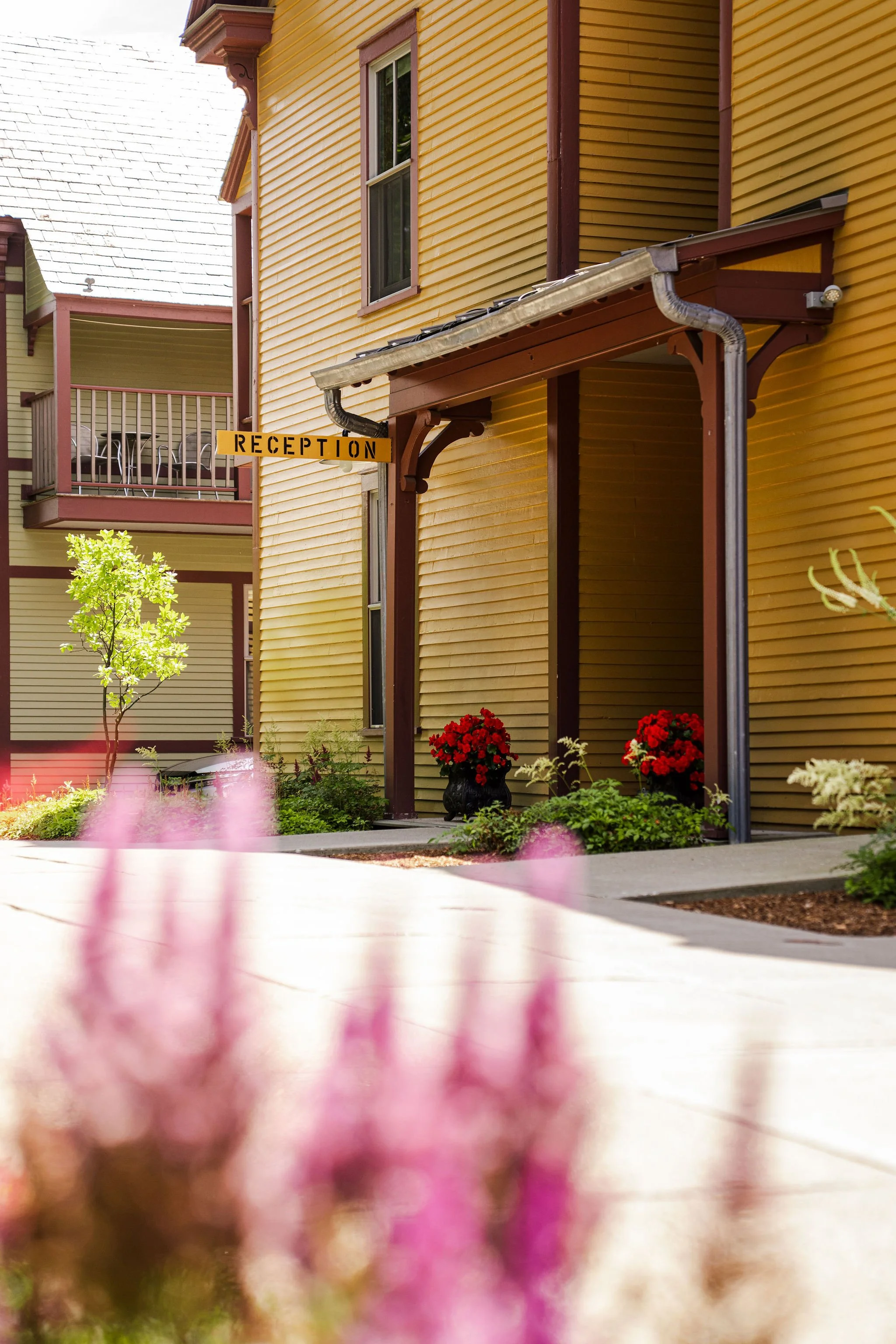 20250709_Porches_Sonya1_25.jpg