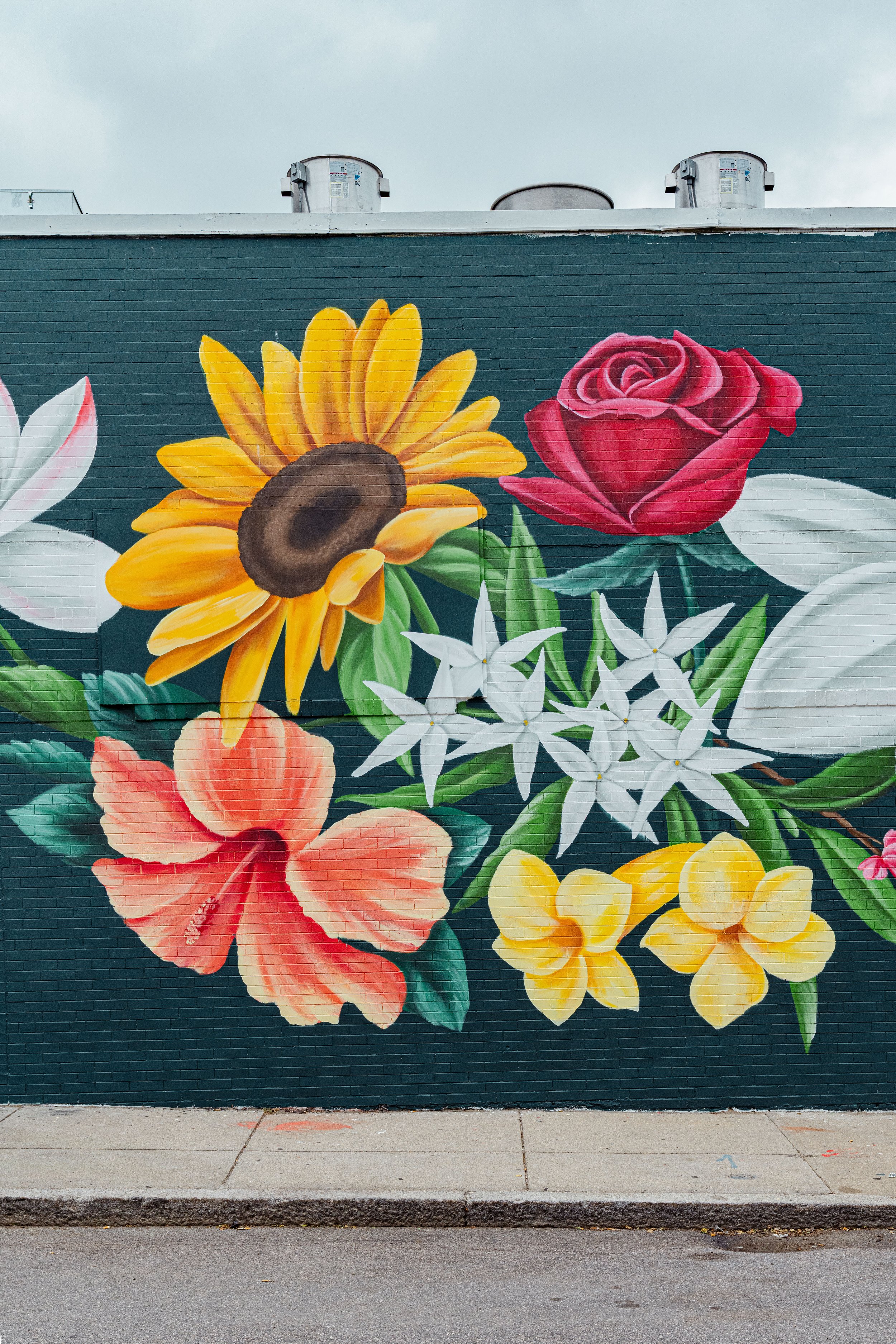20250701_Livtopaint_Sonya1_211.jpg