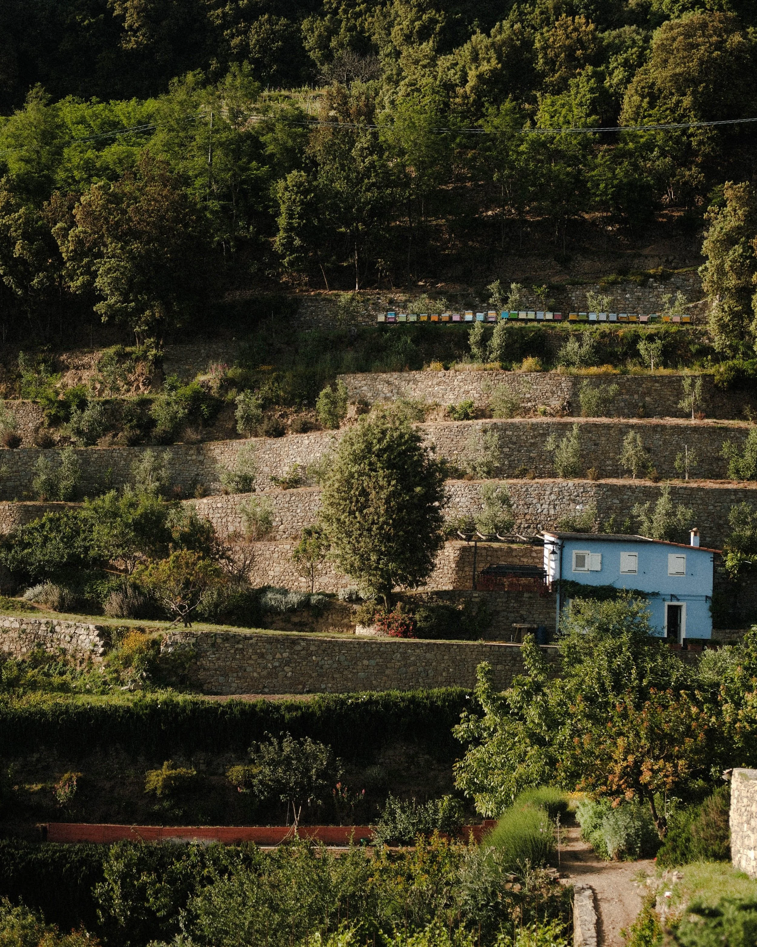 Stella 2 (1 of 1).jpg