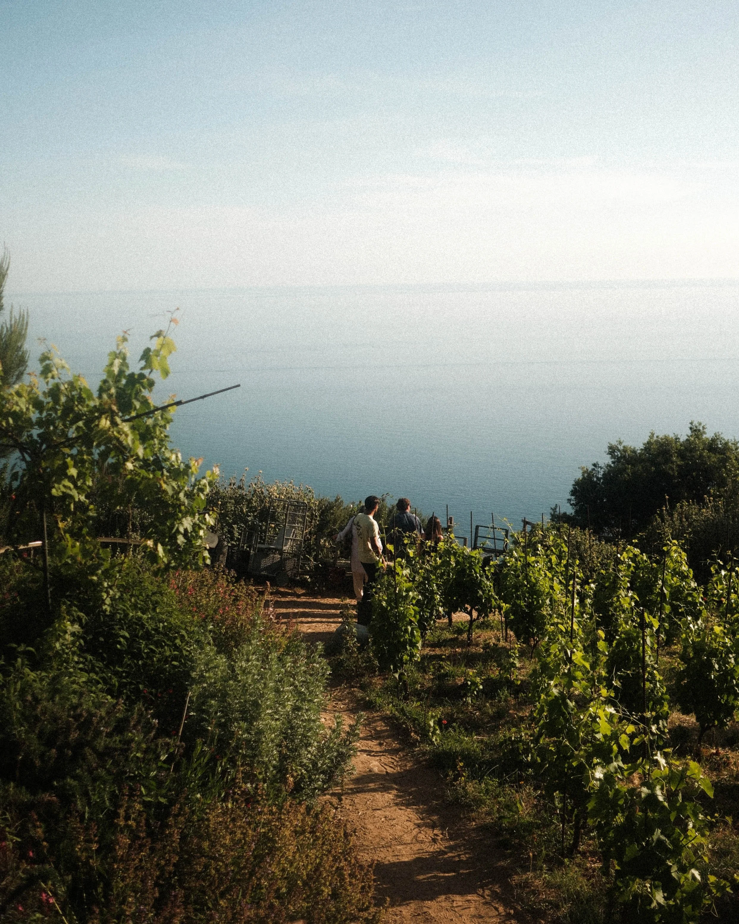 Stella 4 (1 of 1).jpg