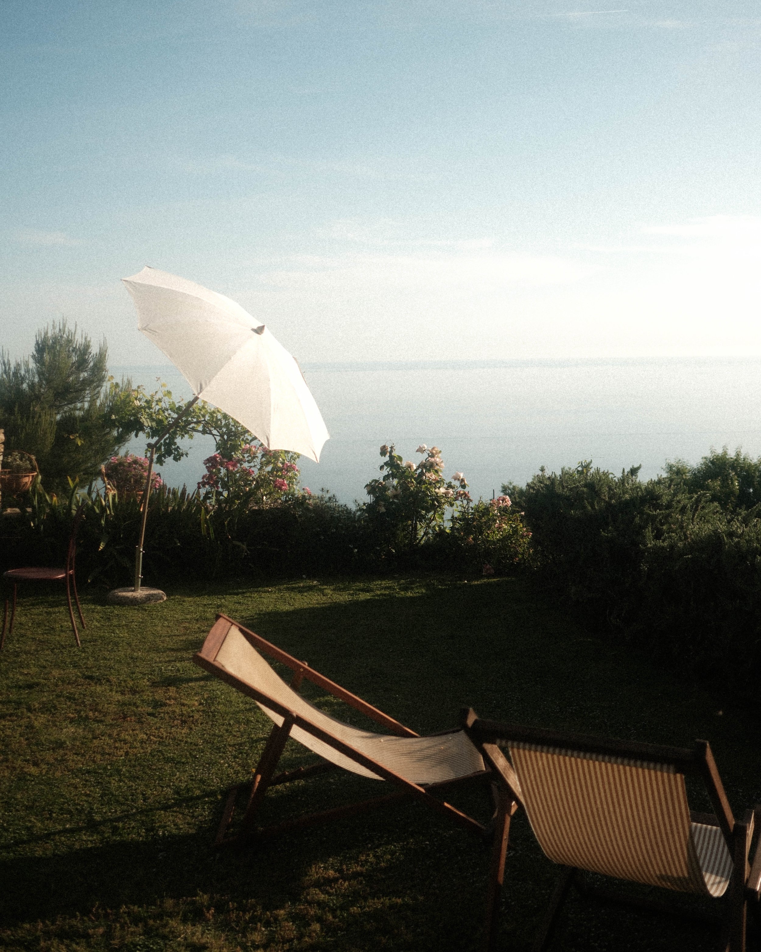 Stella 5 (1 of 1).jpg