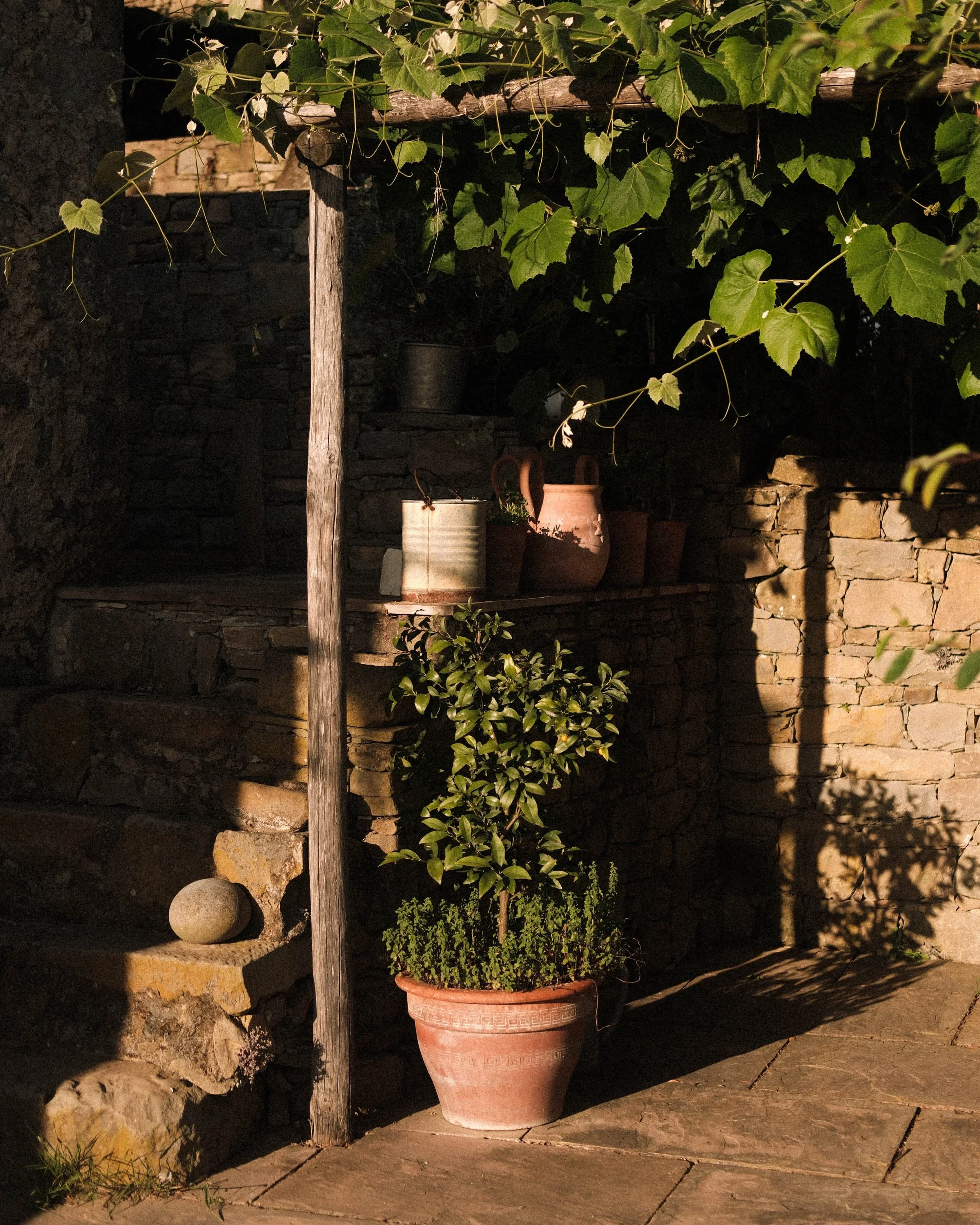 Stella 6 (1 of 1).jpg