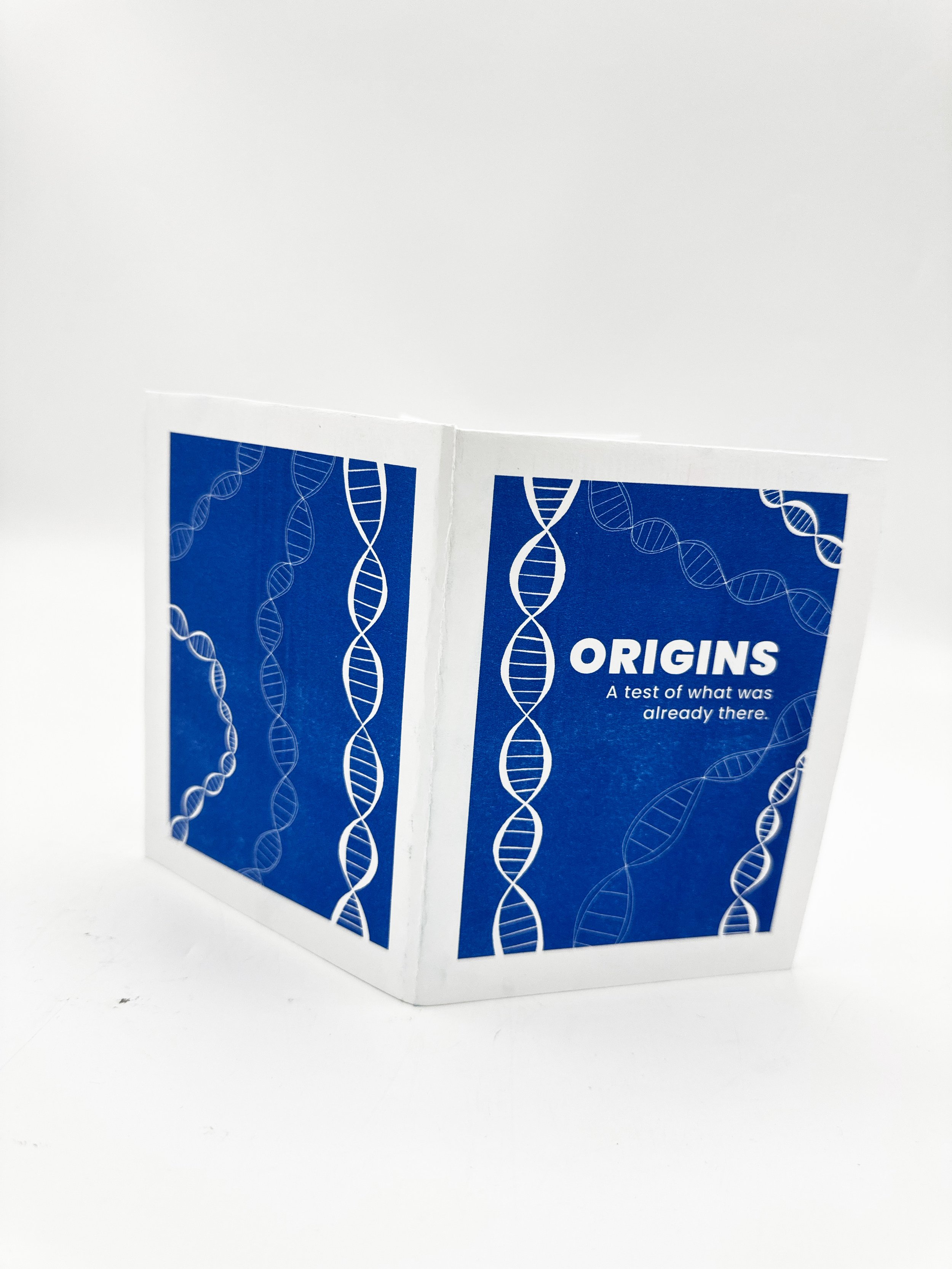 Origins: Risograph Zine