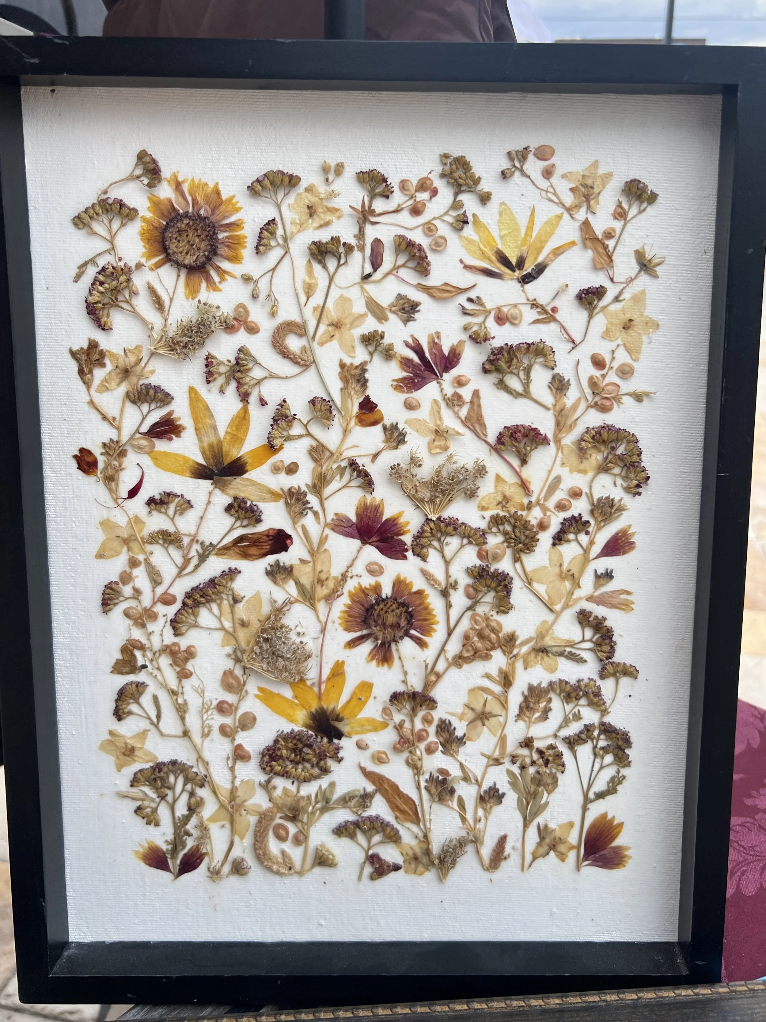 A framed display of pressed flowers arranged on a white background.