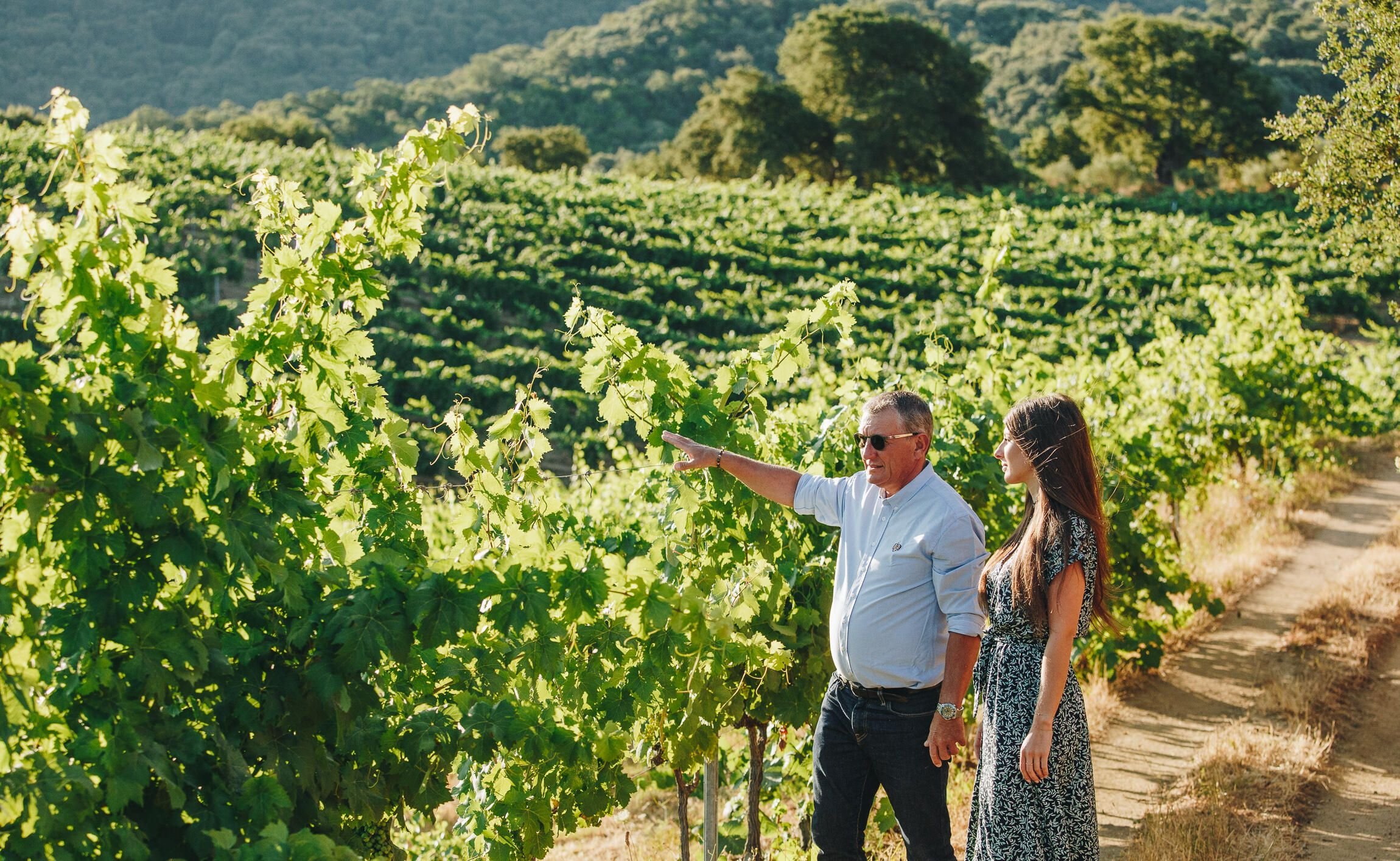 En Corse, Chez le Domaine Abbatucci