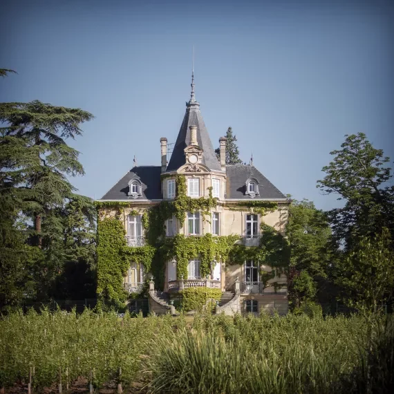 Un grand château ancien entouré d'arbres, avec des murs en pierre et des fenêtres à volets blancs, partiellement couvert de végétation.