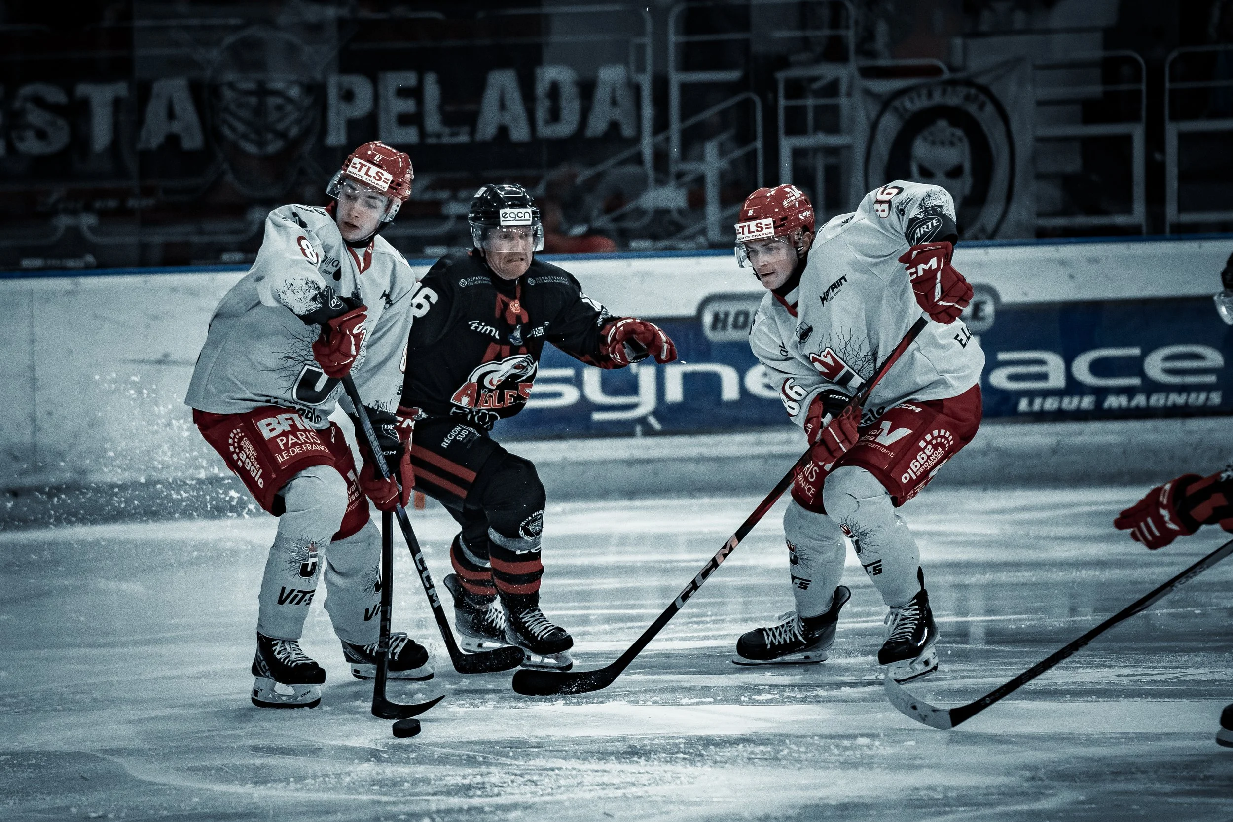 Des joueurs de hockey sur glace en action sur la patinoire, vêtus de maillots blancs et noirs.