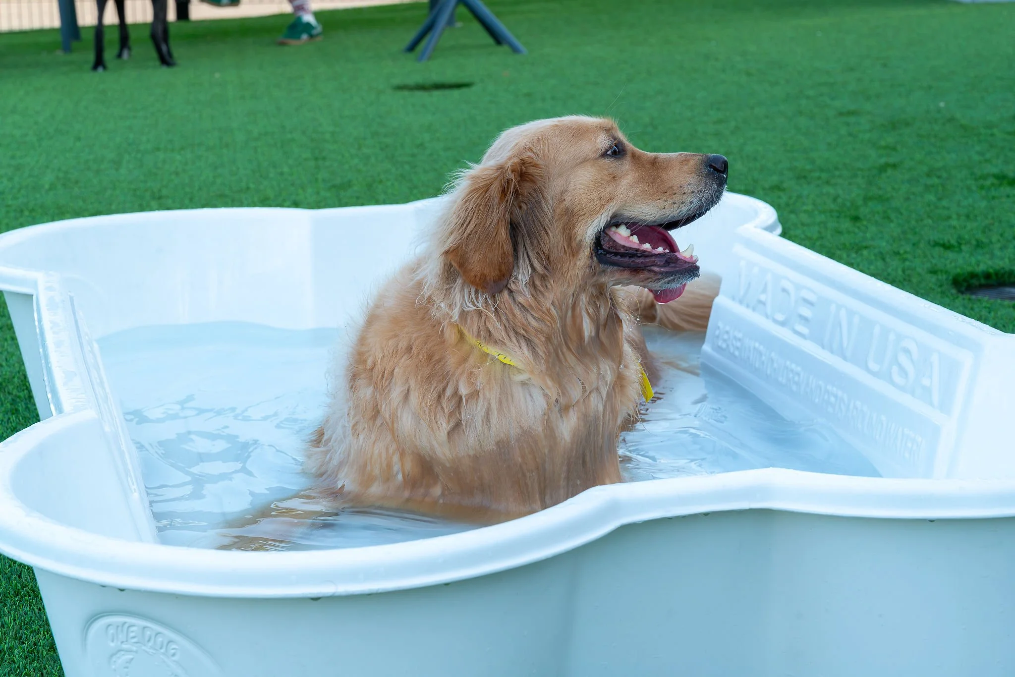 Beating the Orlando Heat: How We're Keeping the Patio Cool This Summer