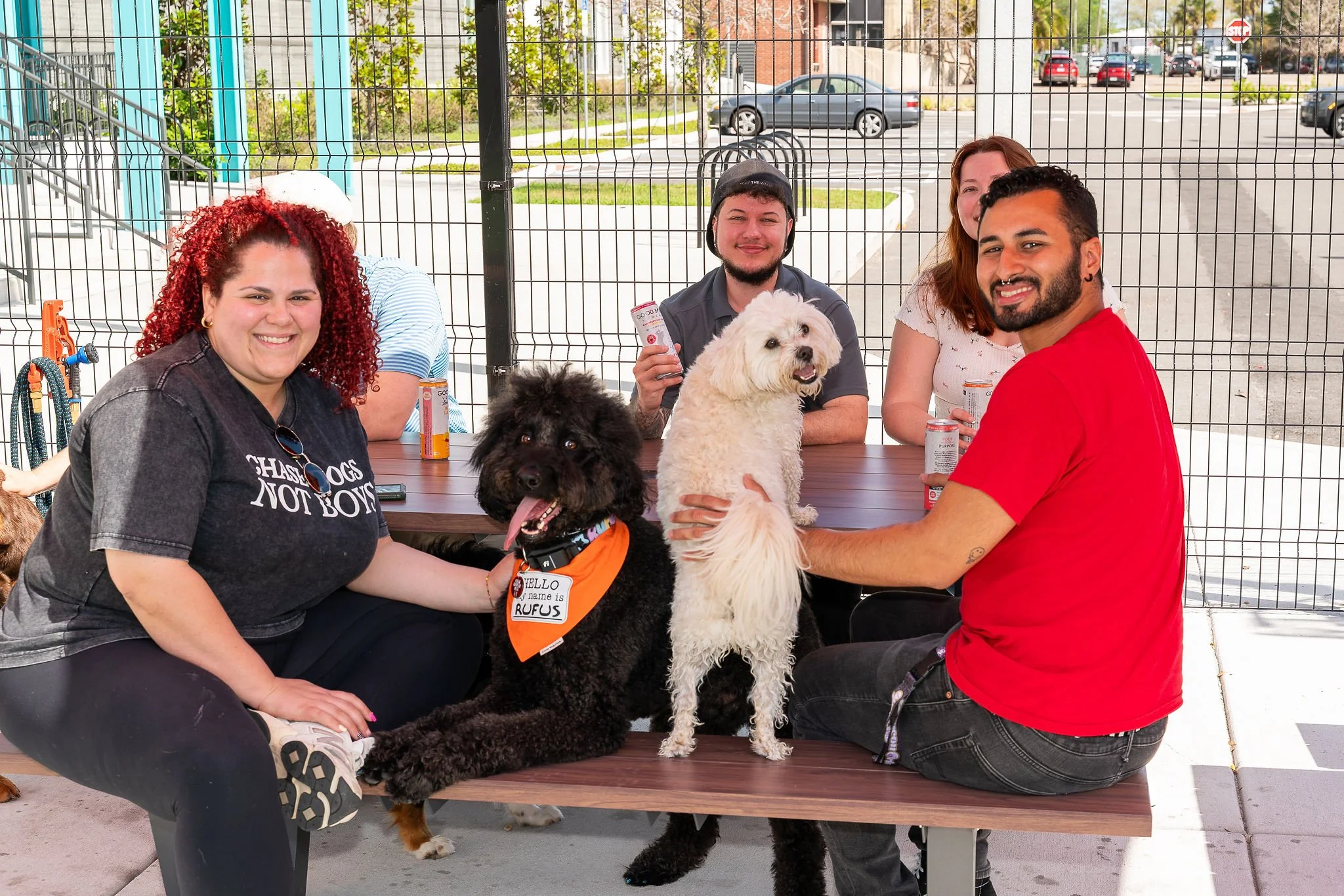 Dog-Friendly Things to Do in Orlando This Weekend - May