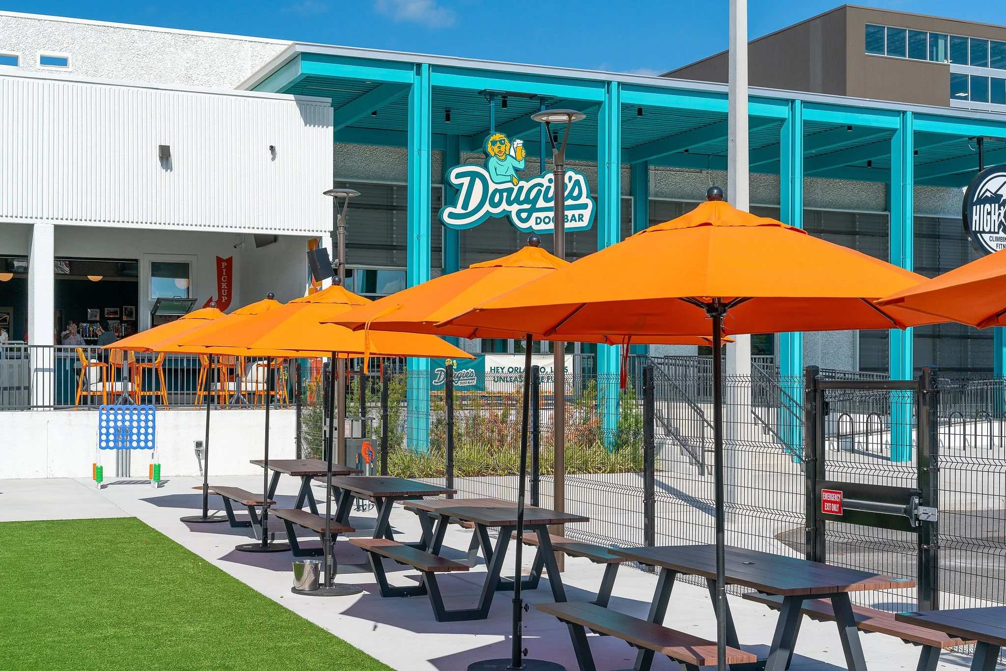 Cinco De mayo with your dog