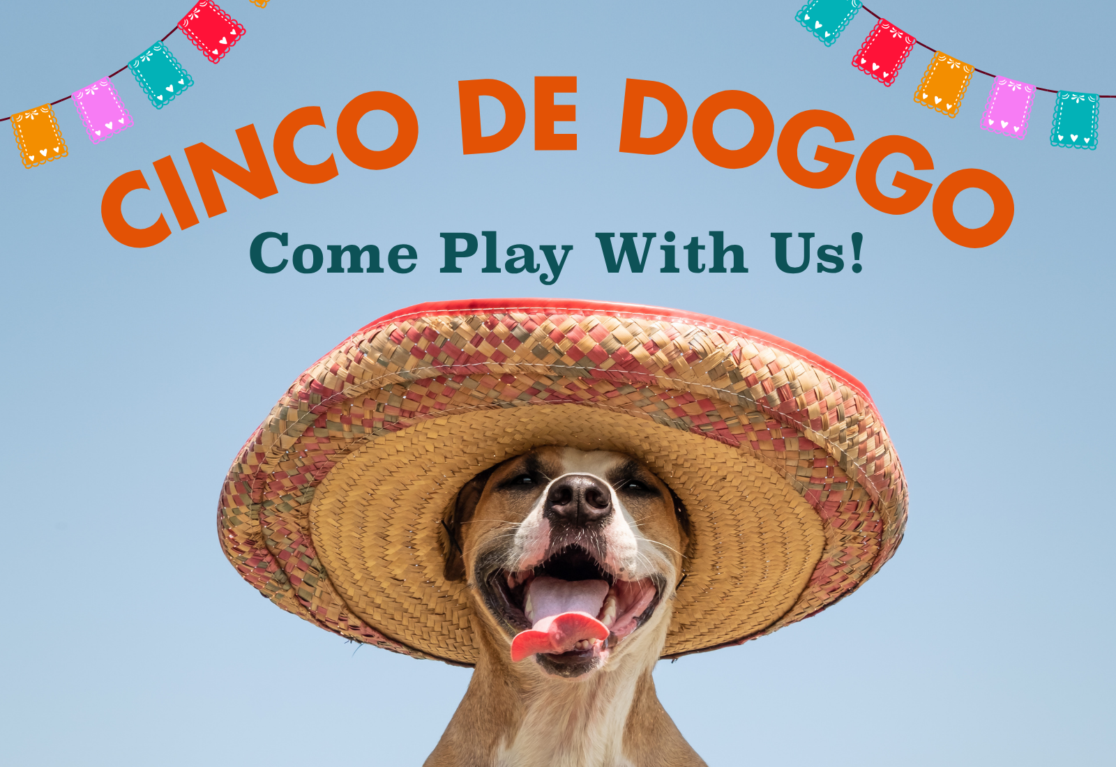 Cinco De Mayo - Pawty