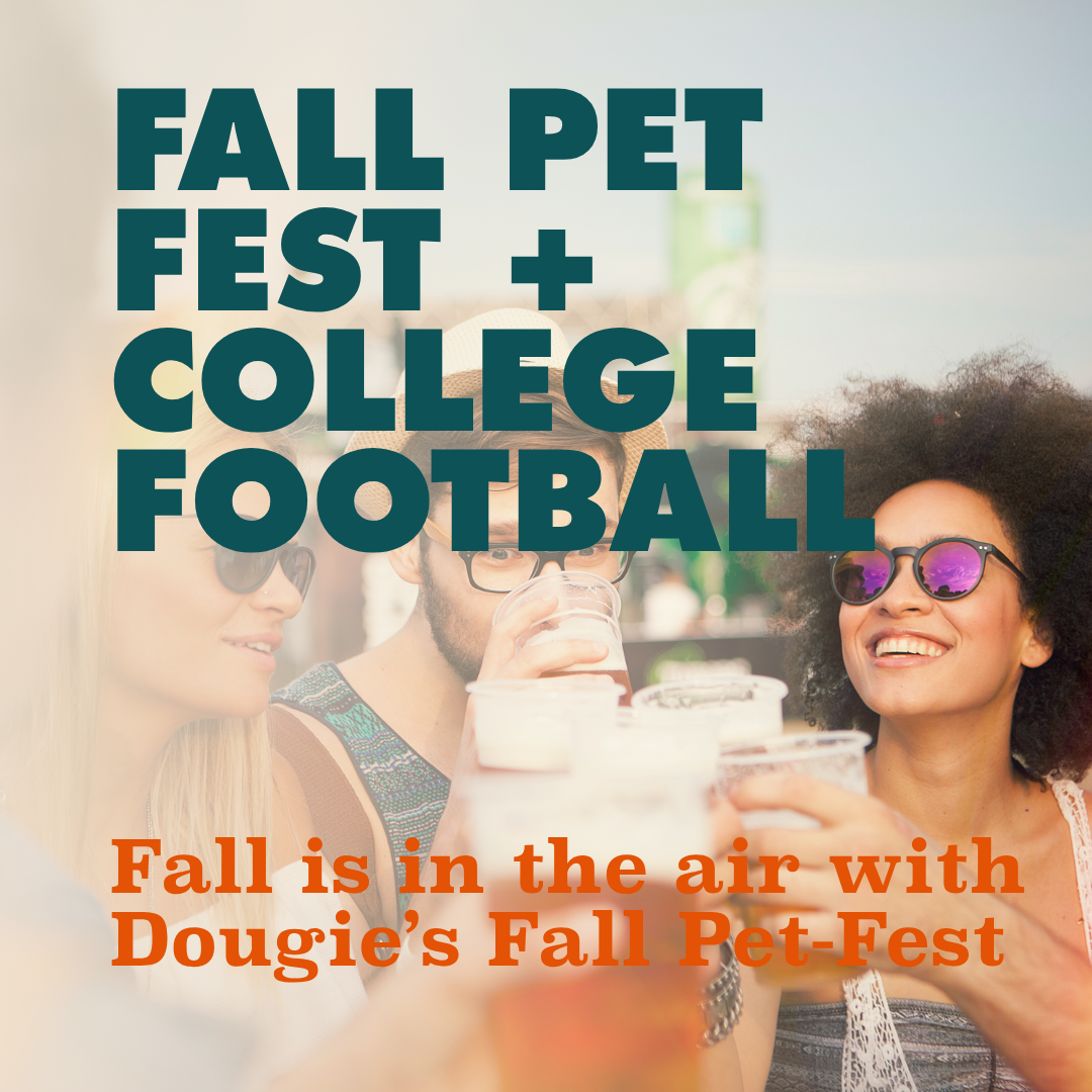Fall Pet-Fest + College Football