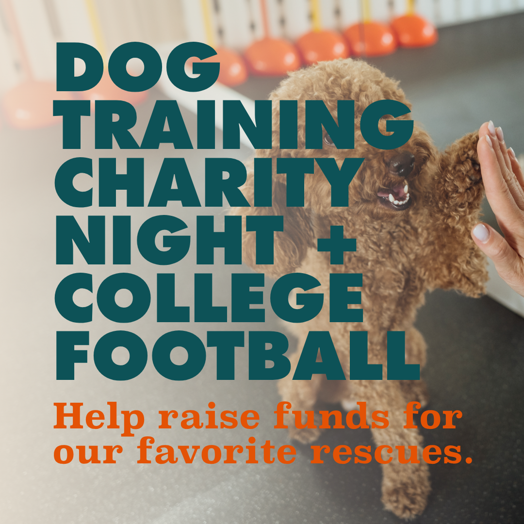 Charity Night, College Football + Dog Training Elite