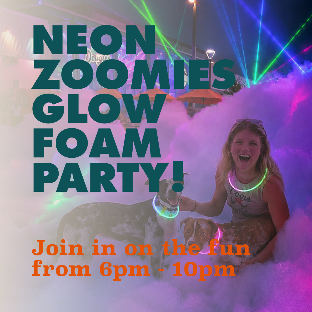 Neon Zoomies Glow Foam Party