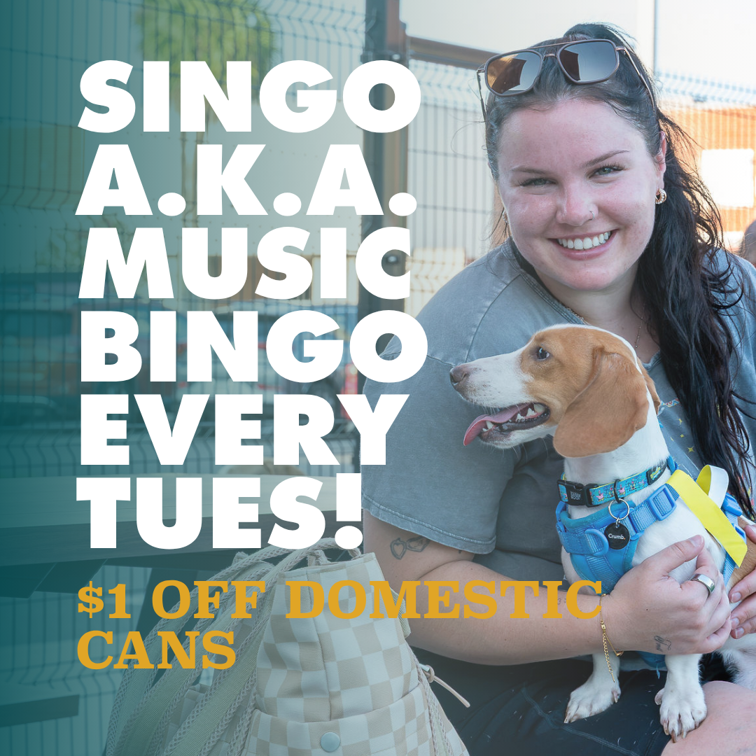 Singo - Music Bingo