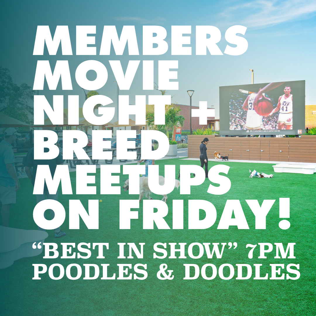 Members, Movies & Meetups: Best in Show
