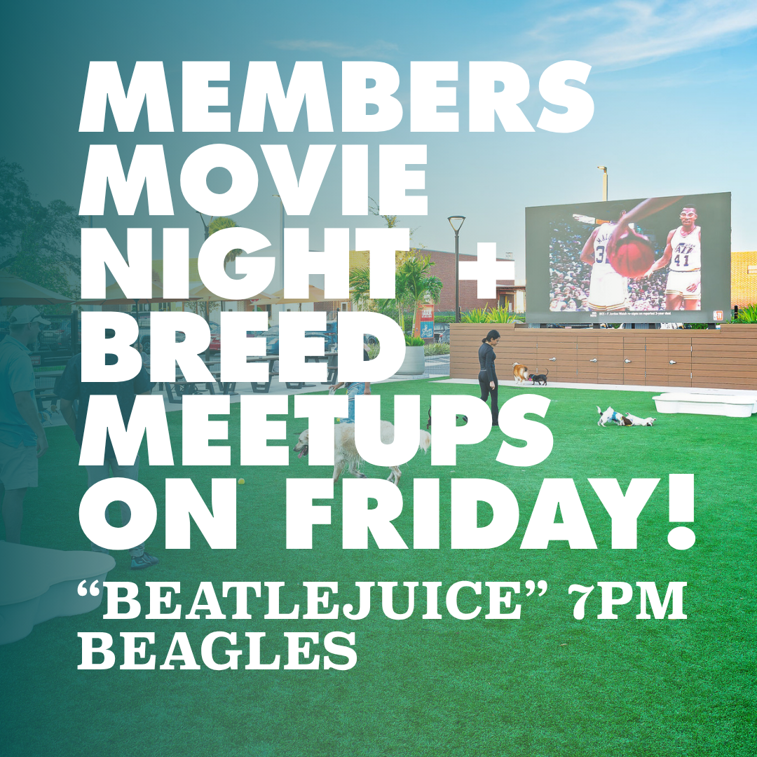 Members, Movies & Meetups: Beetlejuice